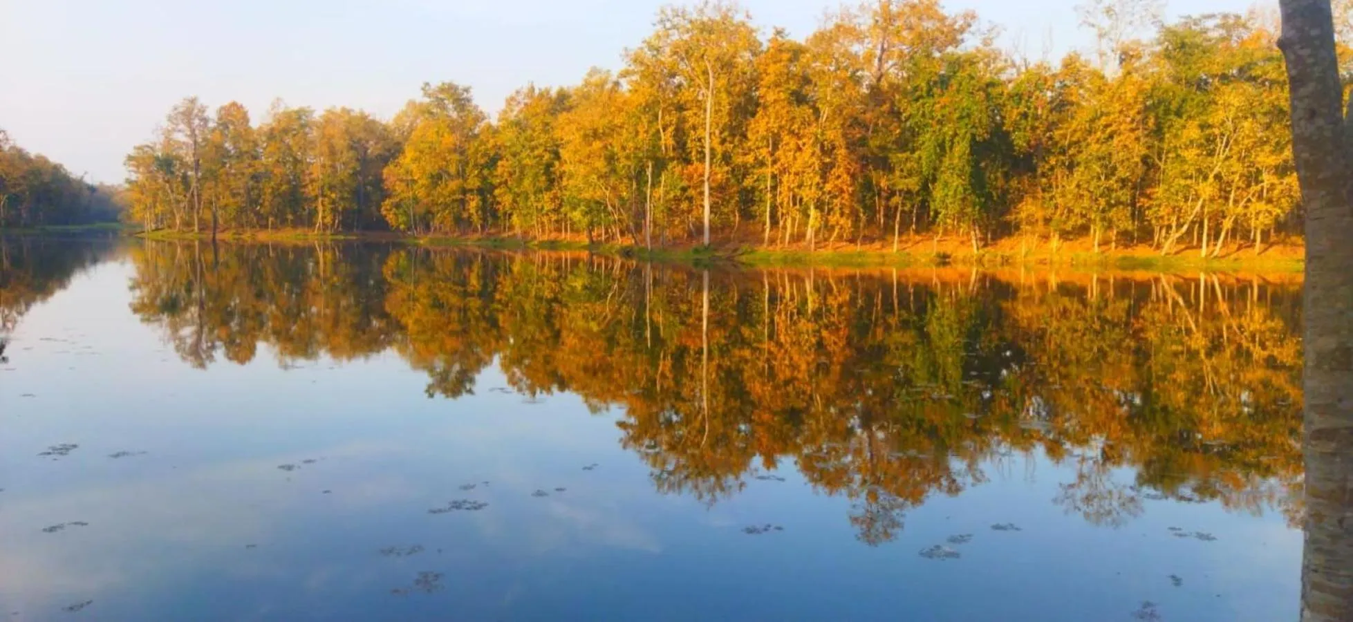 Natural landscape in Sauraha Holiday Home Riverside by managed Hotel Surya Adventure