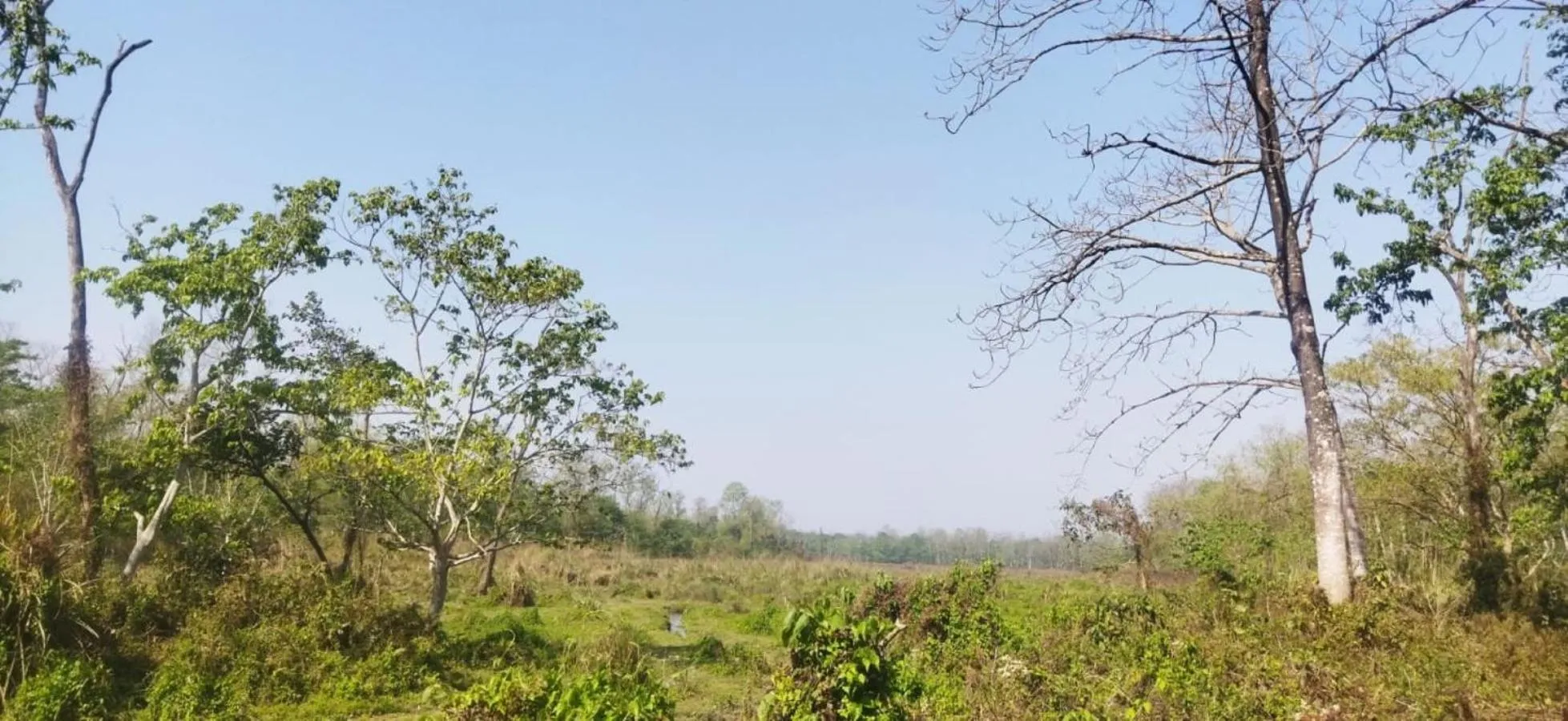 Natural landscape in Sauraha Holiday Home Riverside by managed Hotel Surya Adventure