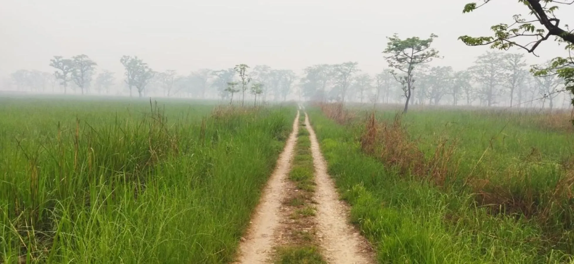 Activities in Sauraha Holiday Home Riverside by managed Hotel Surya Adventure