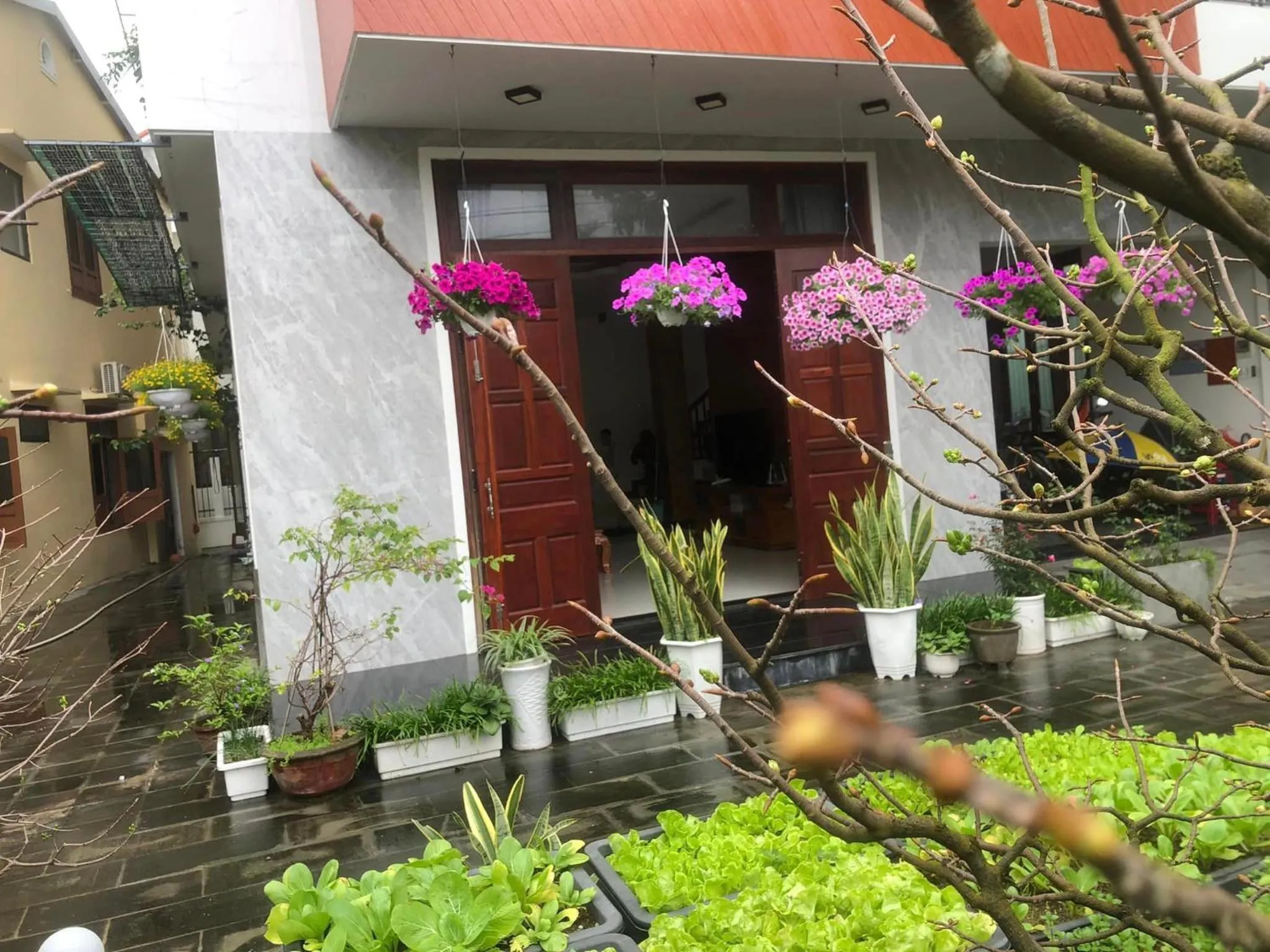 Spring in Homestay Phương House