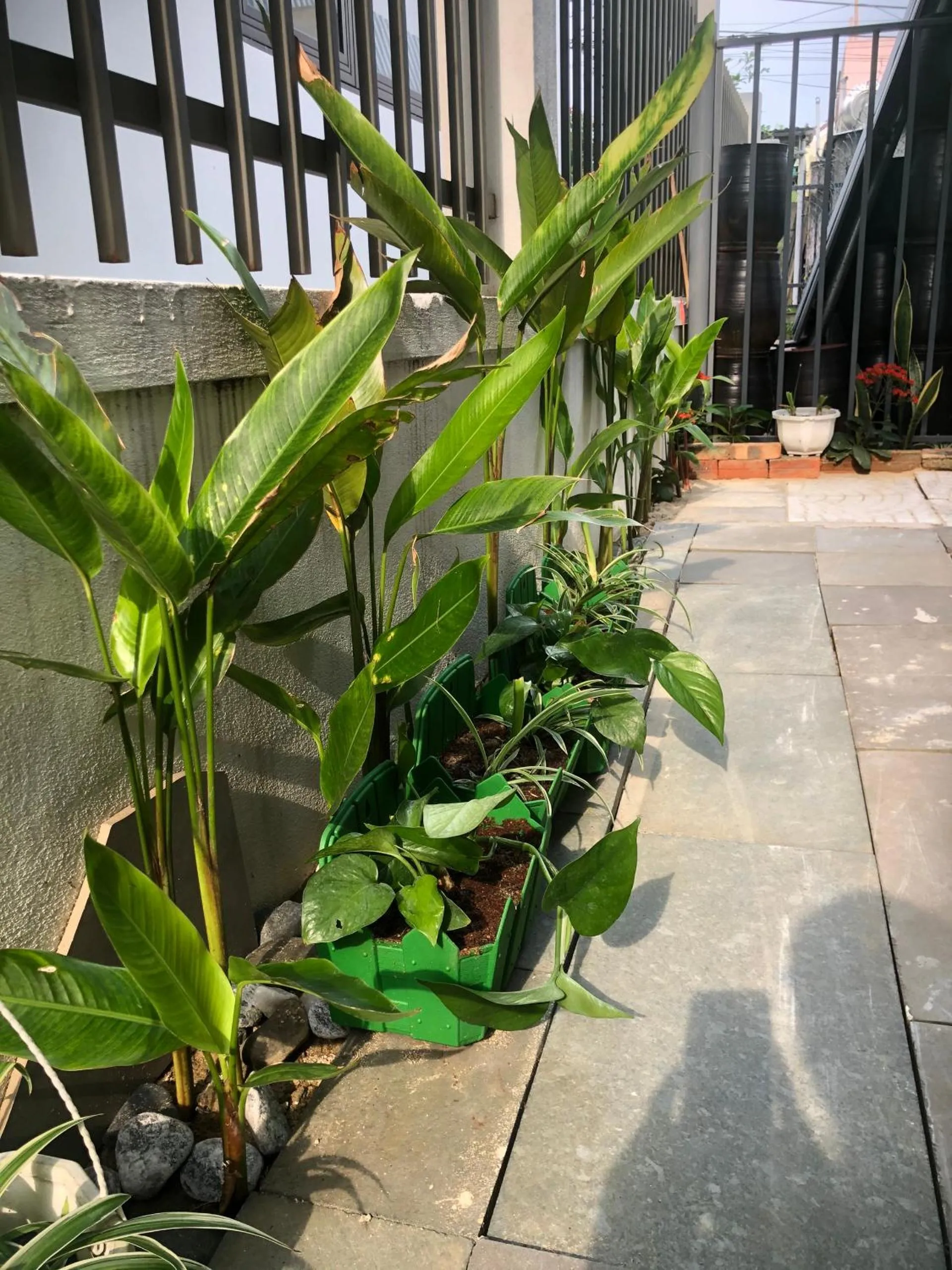 Garden in Homestay Phương House