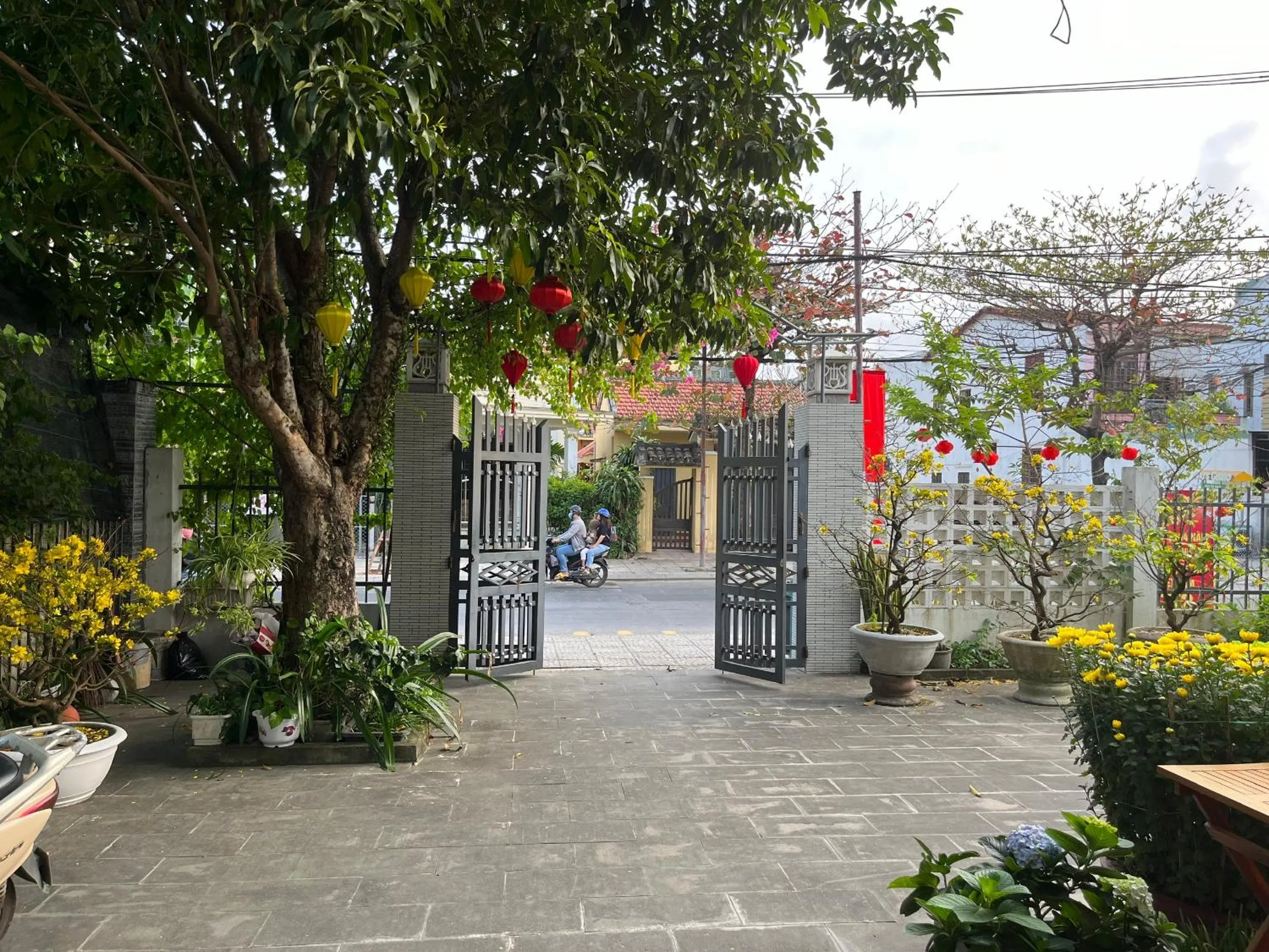 Garden in Homestay Phương House