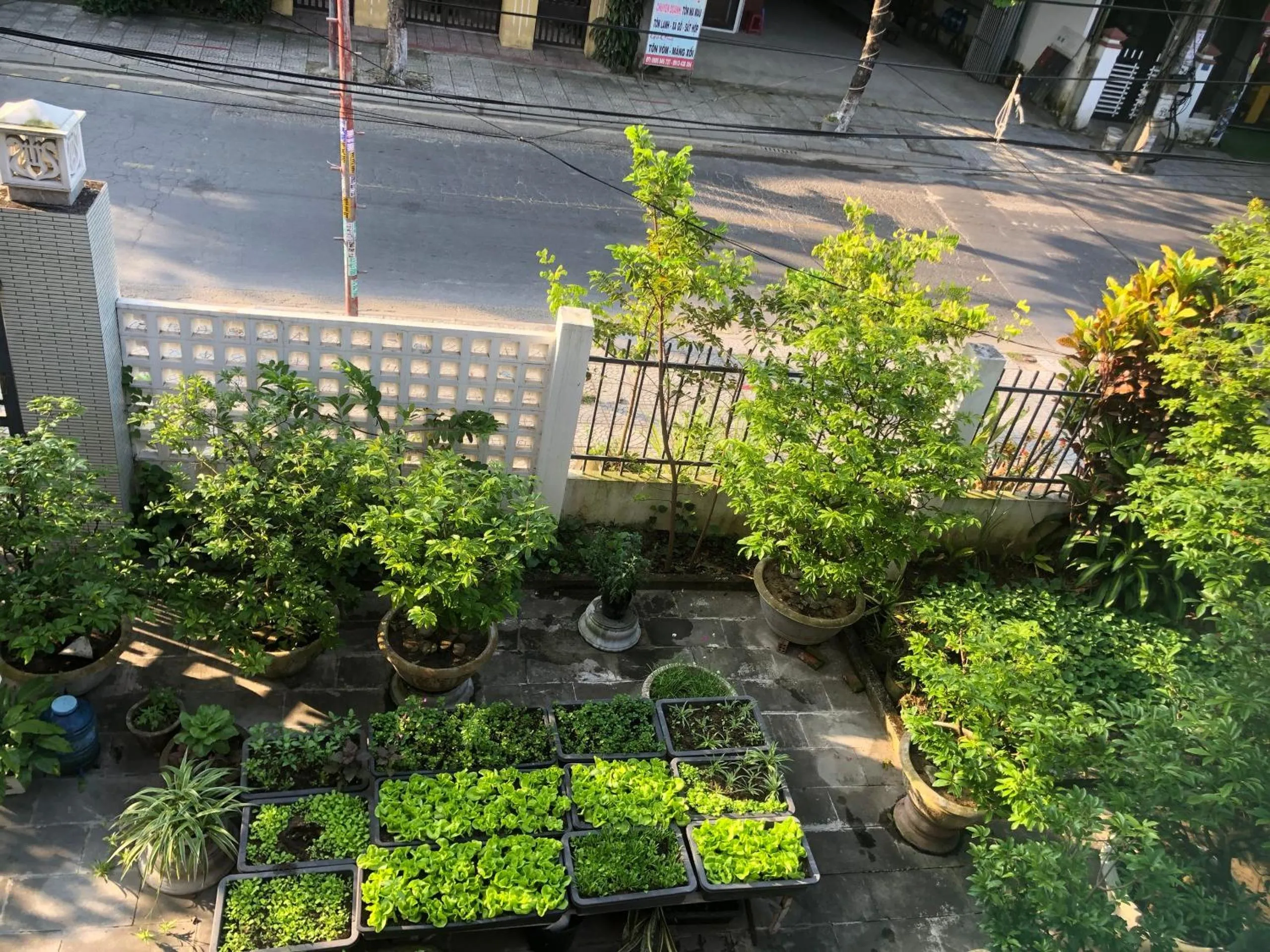 Spring in Homestay Phương House