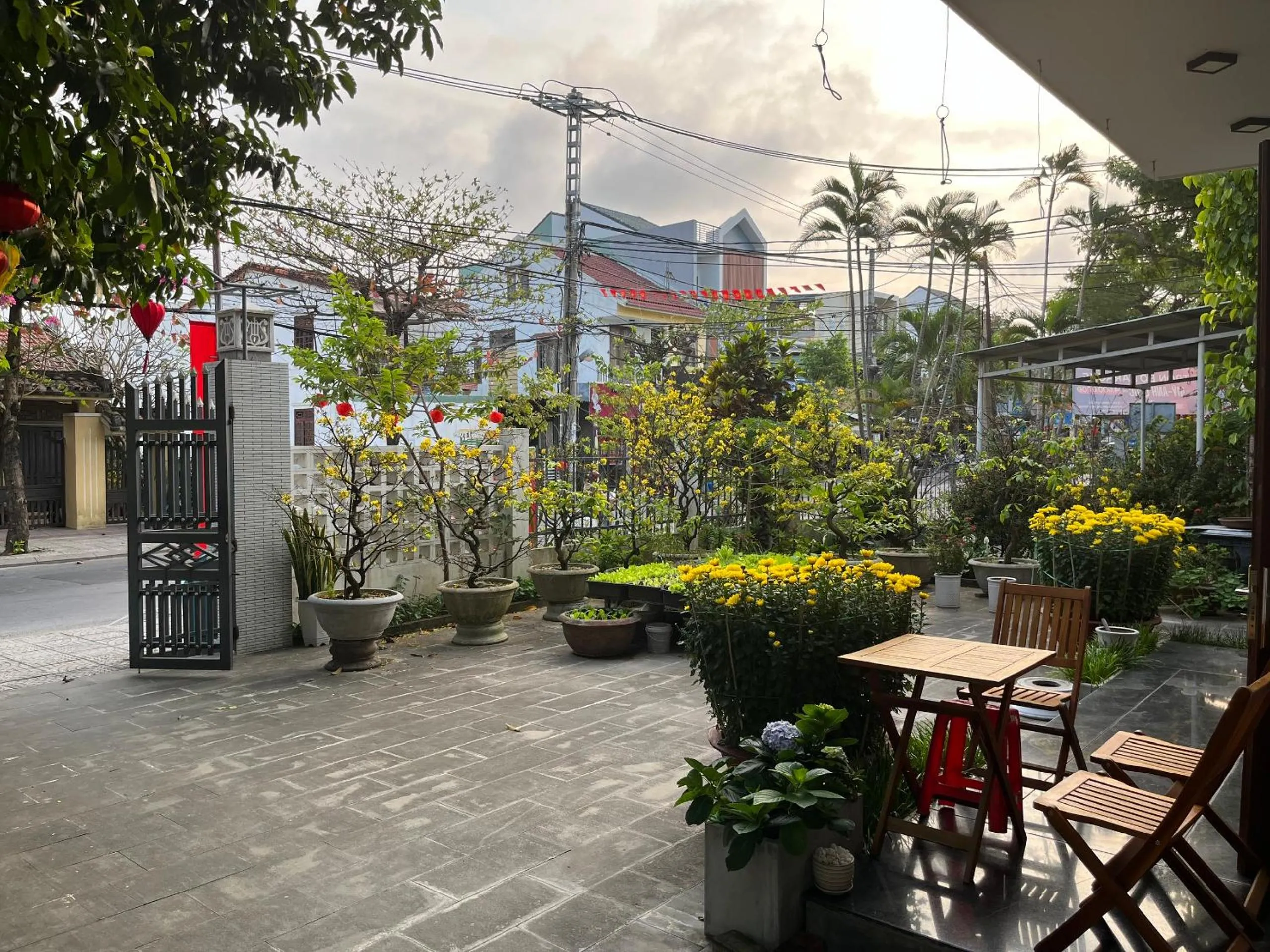 Garden in Homestay Phương House