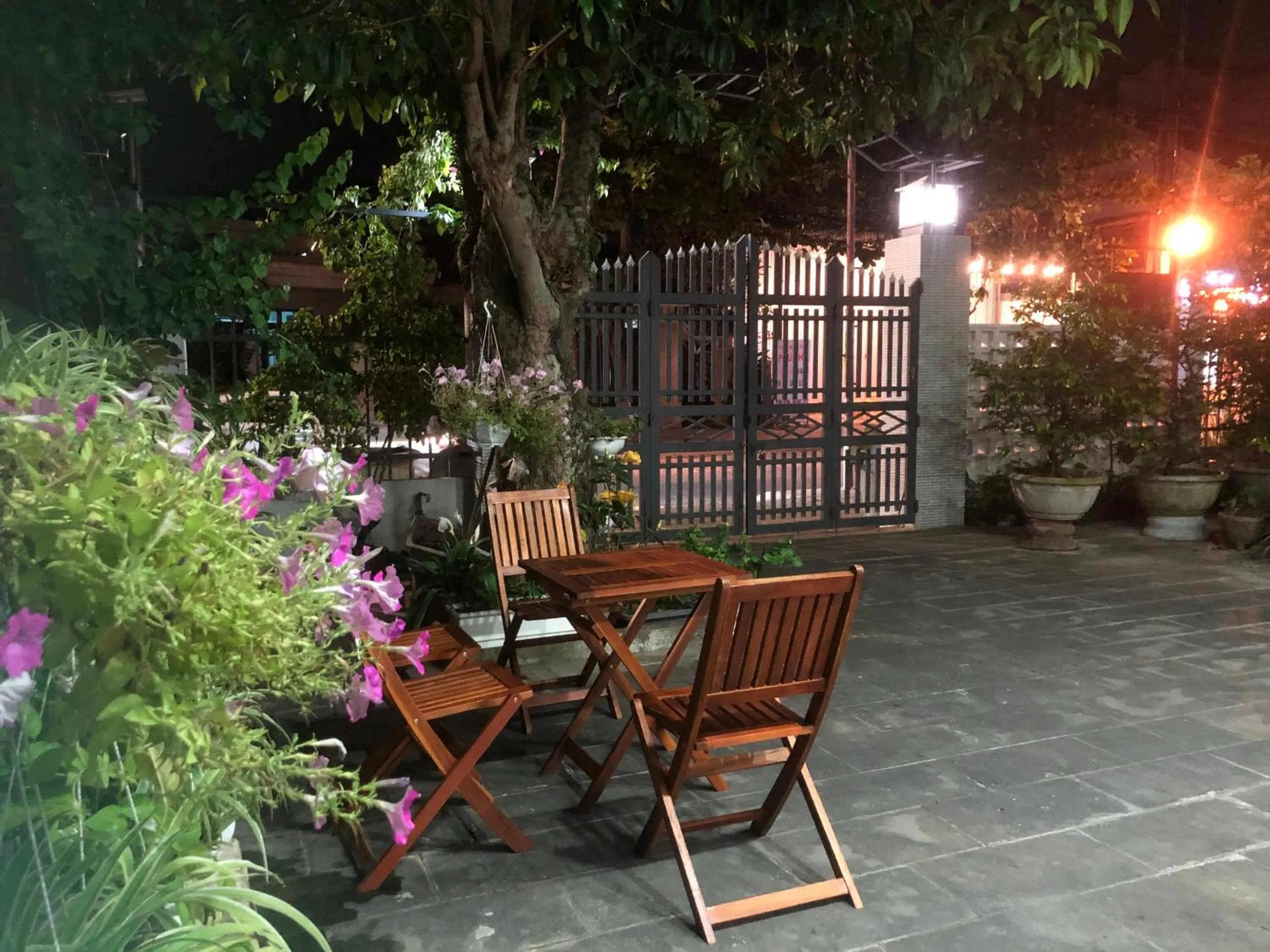 Garden in Homestay Phương House