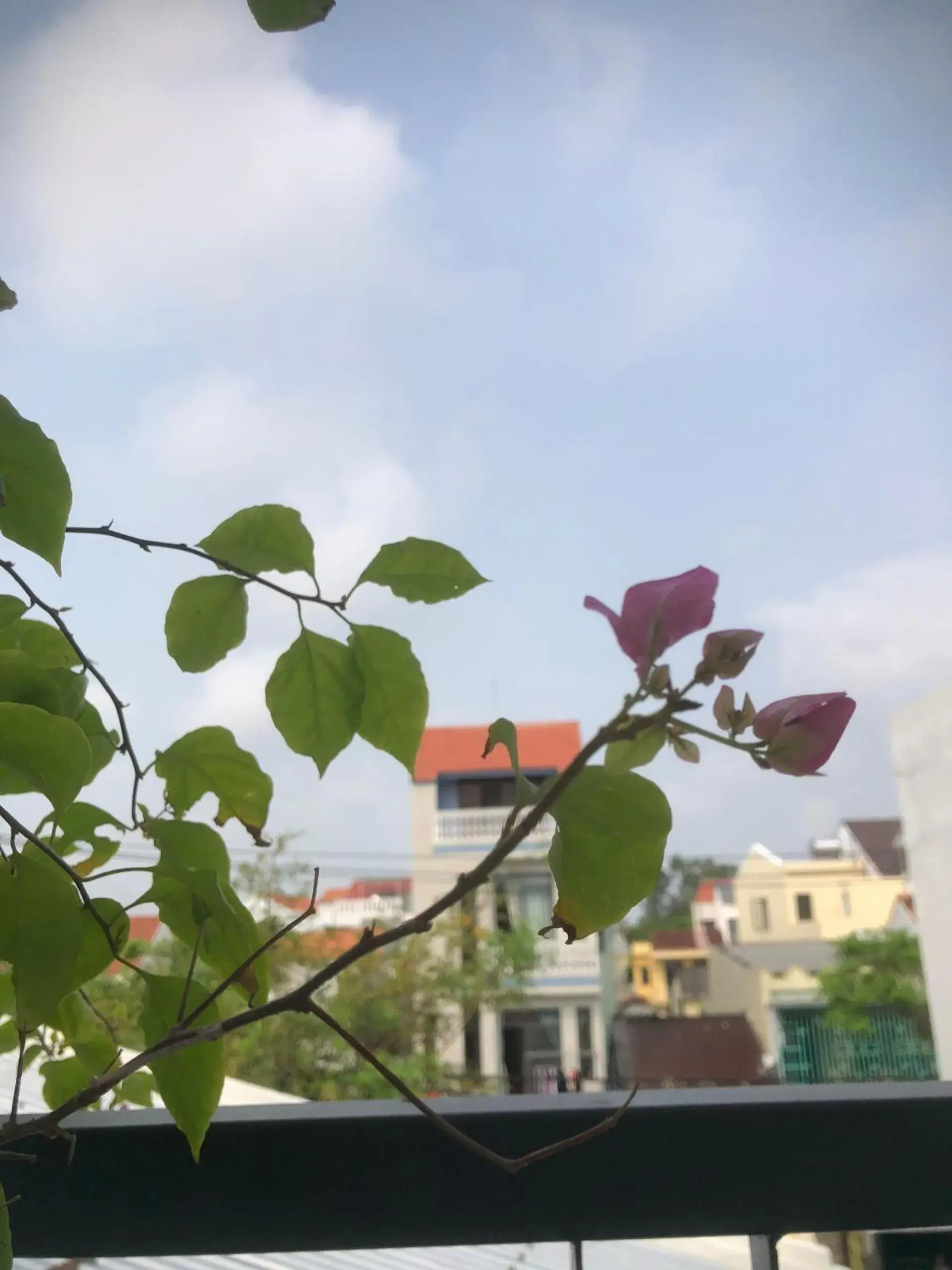 Triple Room with Balcony in Homestay Phương House Triple Room with Balcony in Homestay Phương House