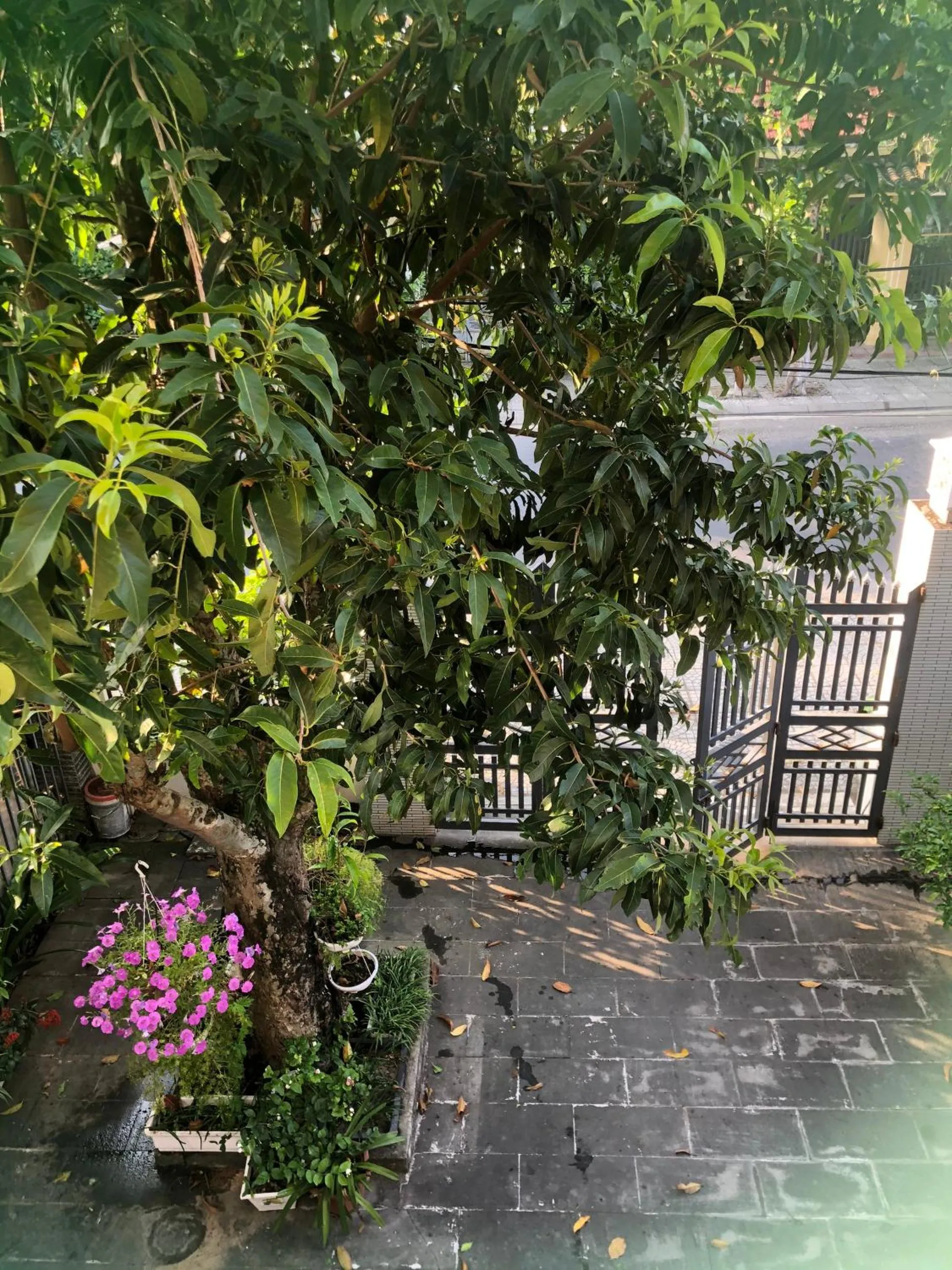 Day in Homestay Phương House