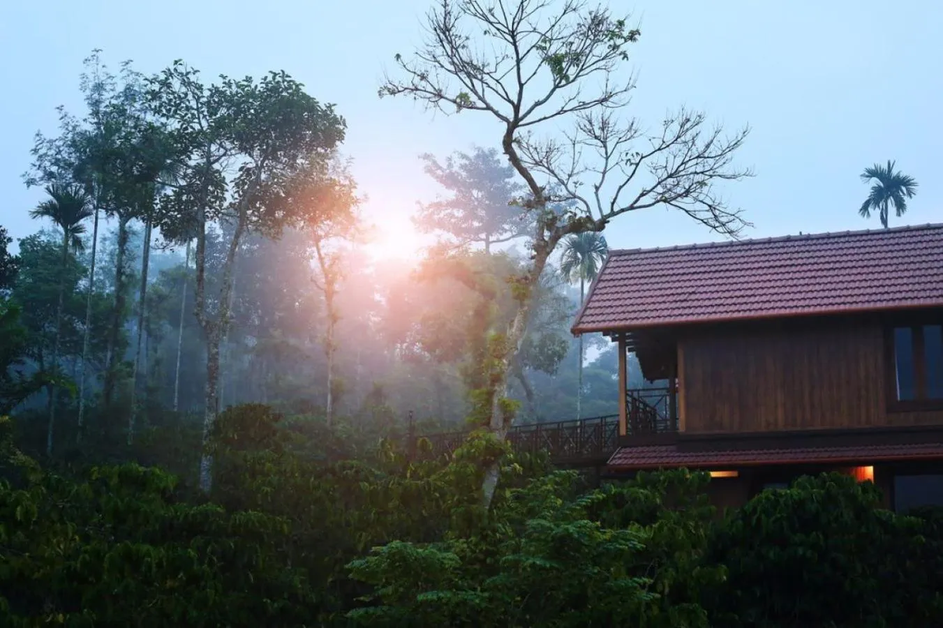 Property building in Niyatma Wayanad Pool Resort by VOYE HOMES - Inside Coffee Plantation