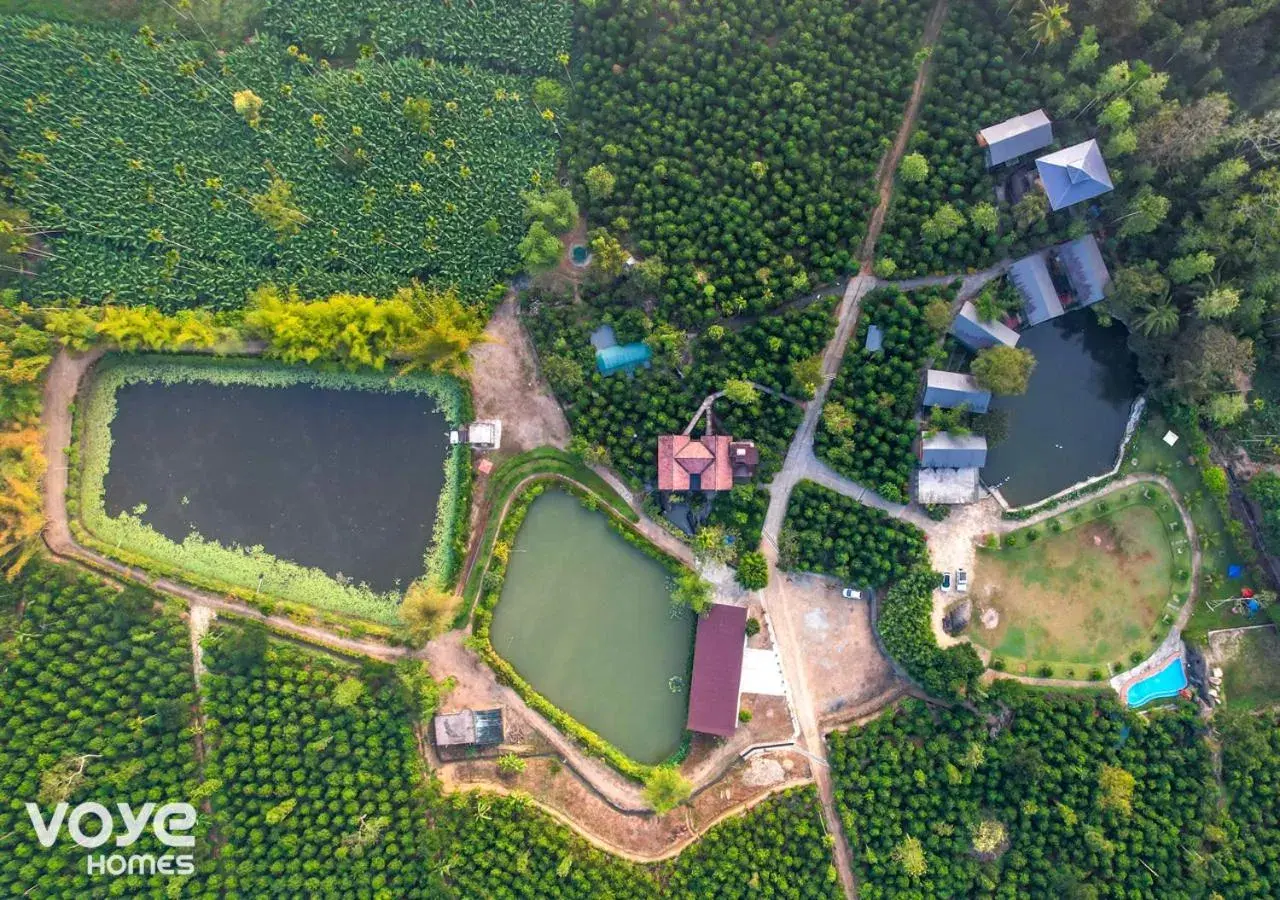 Property building in Niyatma Wayanad Pool Resort by VOYE HOMES - Inside Coffee Plantation Property building in Niyatma Wayanad Pool Resort by VOYE HOMES - Inside Coffee Plantation
