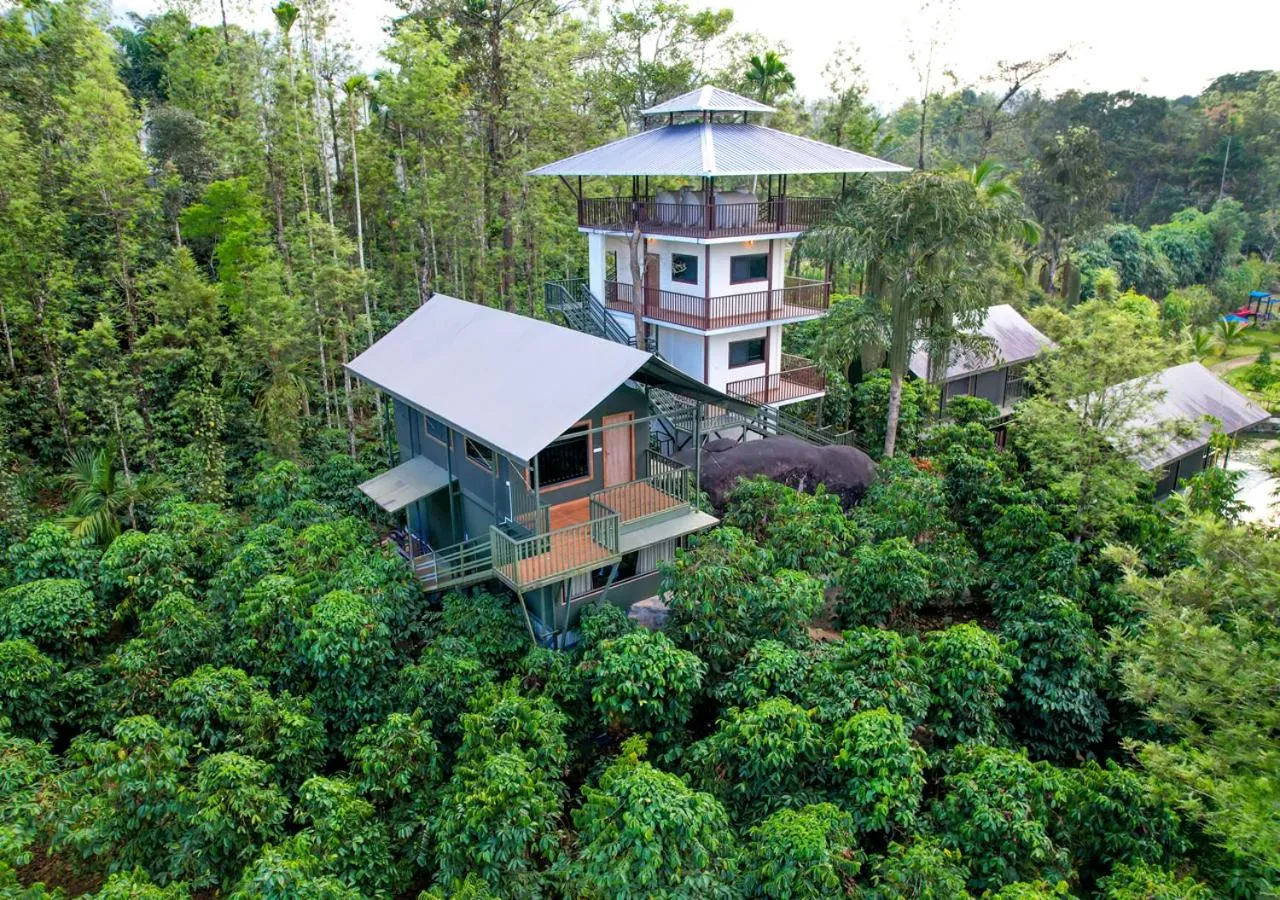 Property building in Niyatma Wayanad Pool Resort by VOYE HOMES - Inside Coffee Plantation