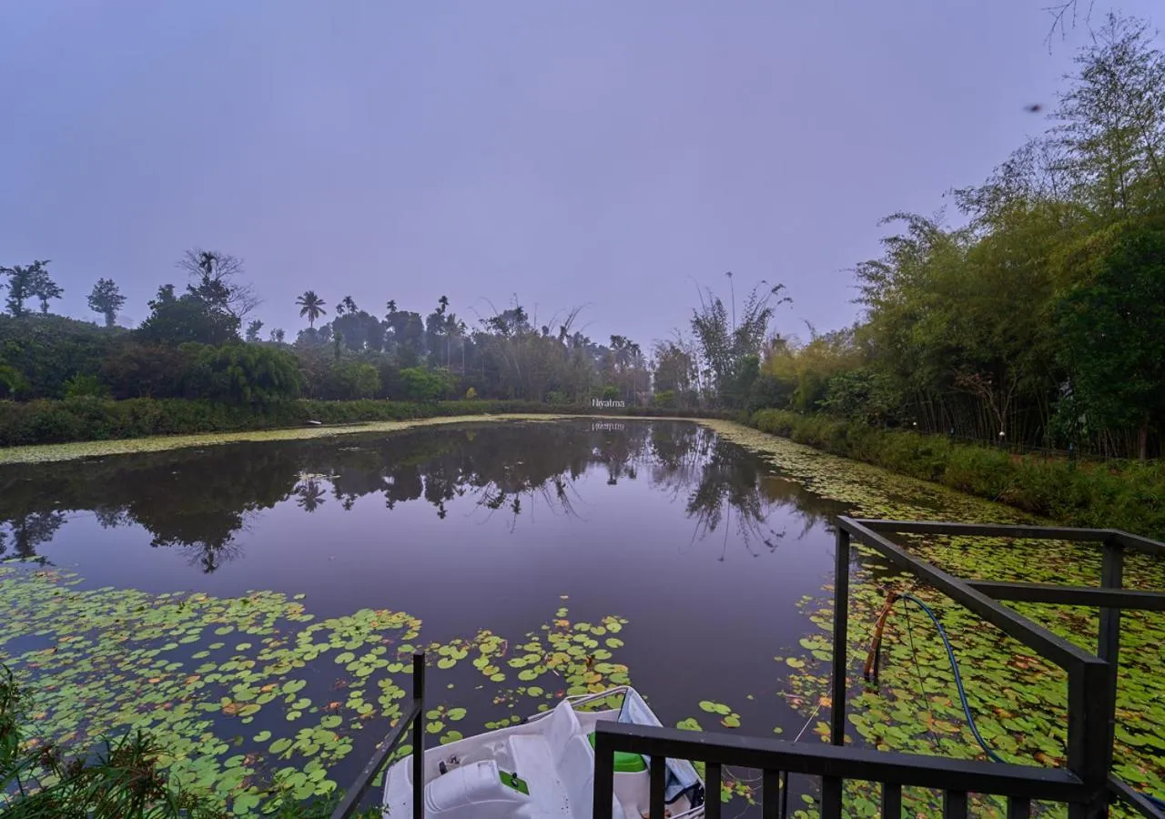 Evening entertainment in Niyatma Wayanad Pool Resort by VOYE HOMES - Inside Coffee Plantation