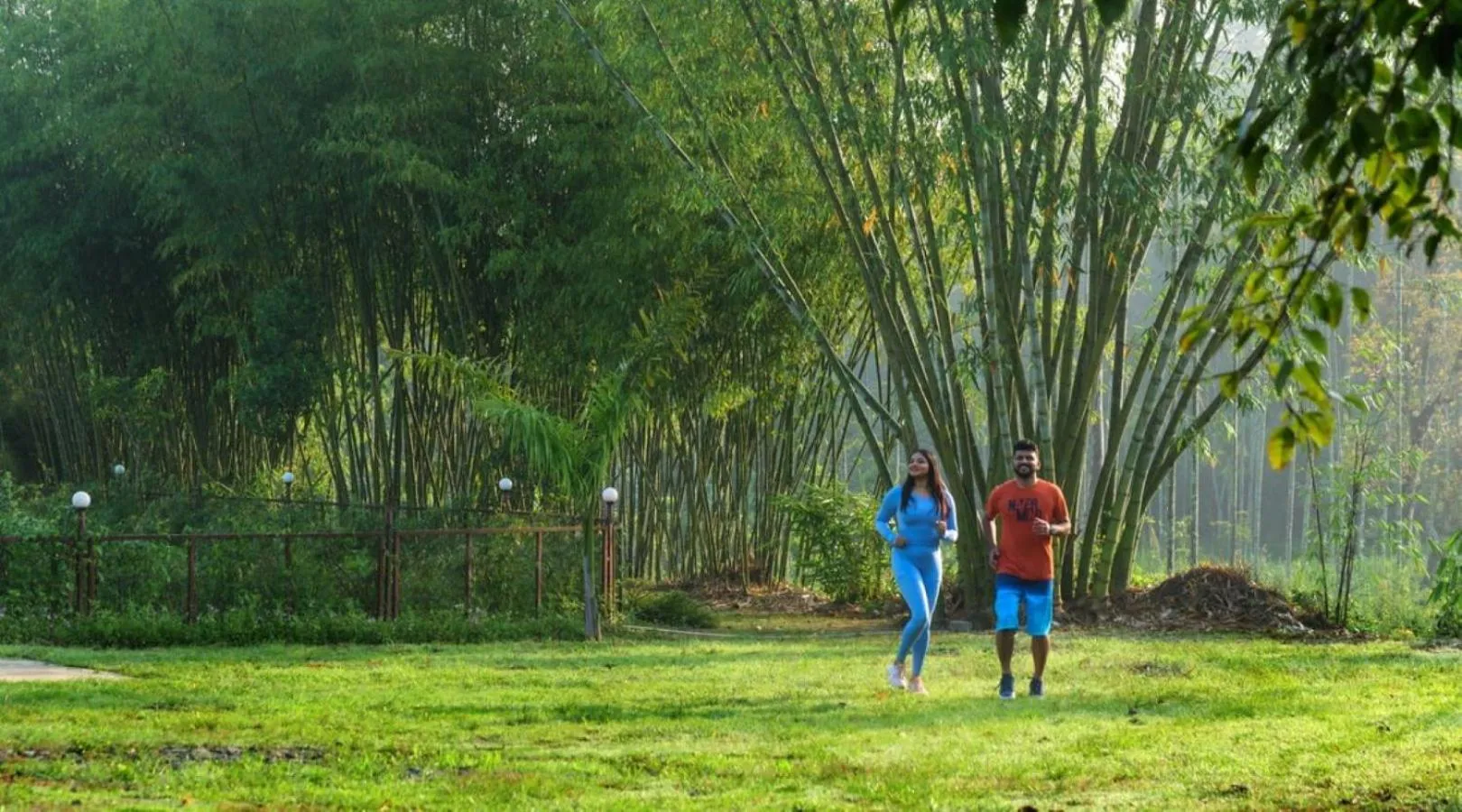 Natural landscape in Niyatma Wayanad Pool Resort by VOYE HOMES - Inside Coffee Plantation