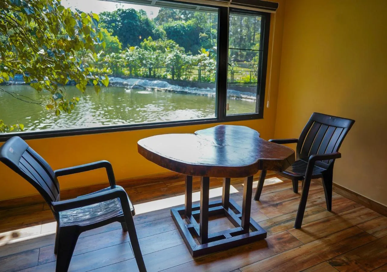 View (from property/room) in Niyatma Wayanad Pool Resort by VOYE HOMES - Inside Coffee Plantation