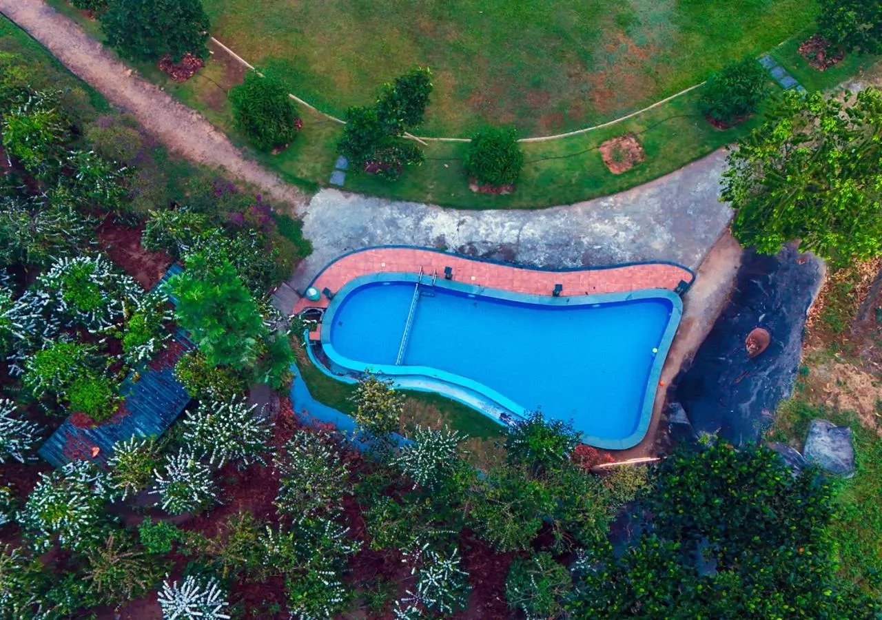 Pool view in Niyatma Wayanad Pool Resort by VOYE HOMES - Inside Coffee Plantation