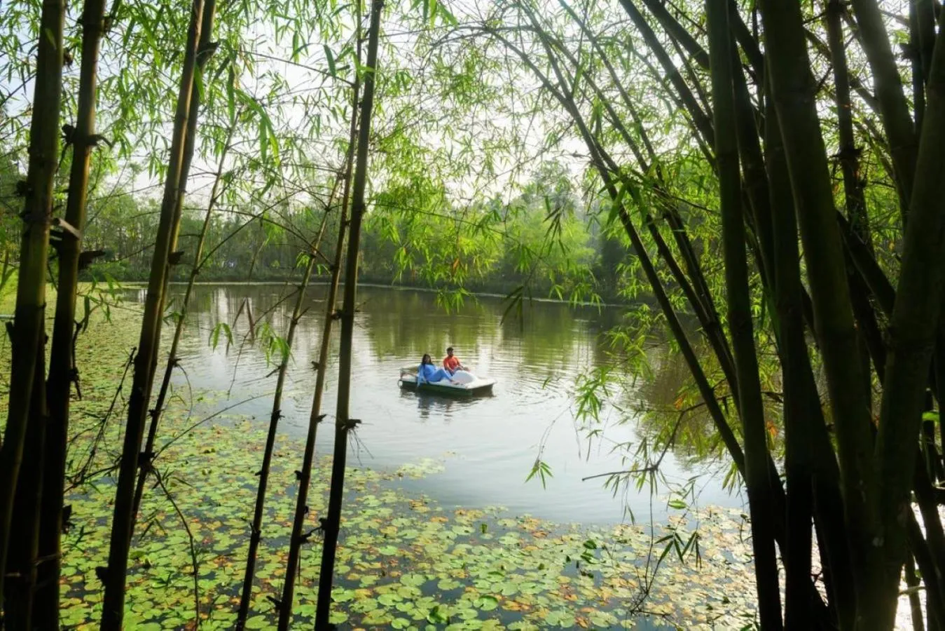 Natural landscape in Niyatma Wayanad Pool Resort by VOYE HOMES - Inside Coffee Plantation