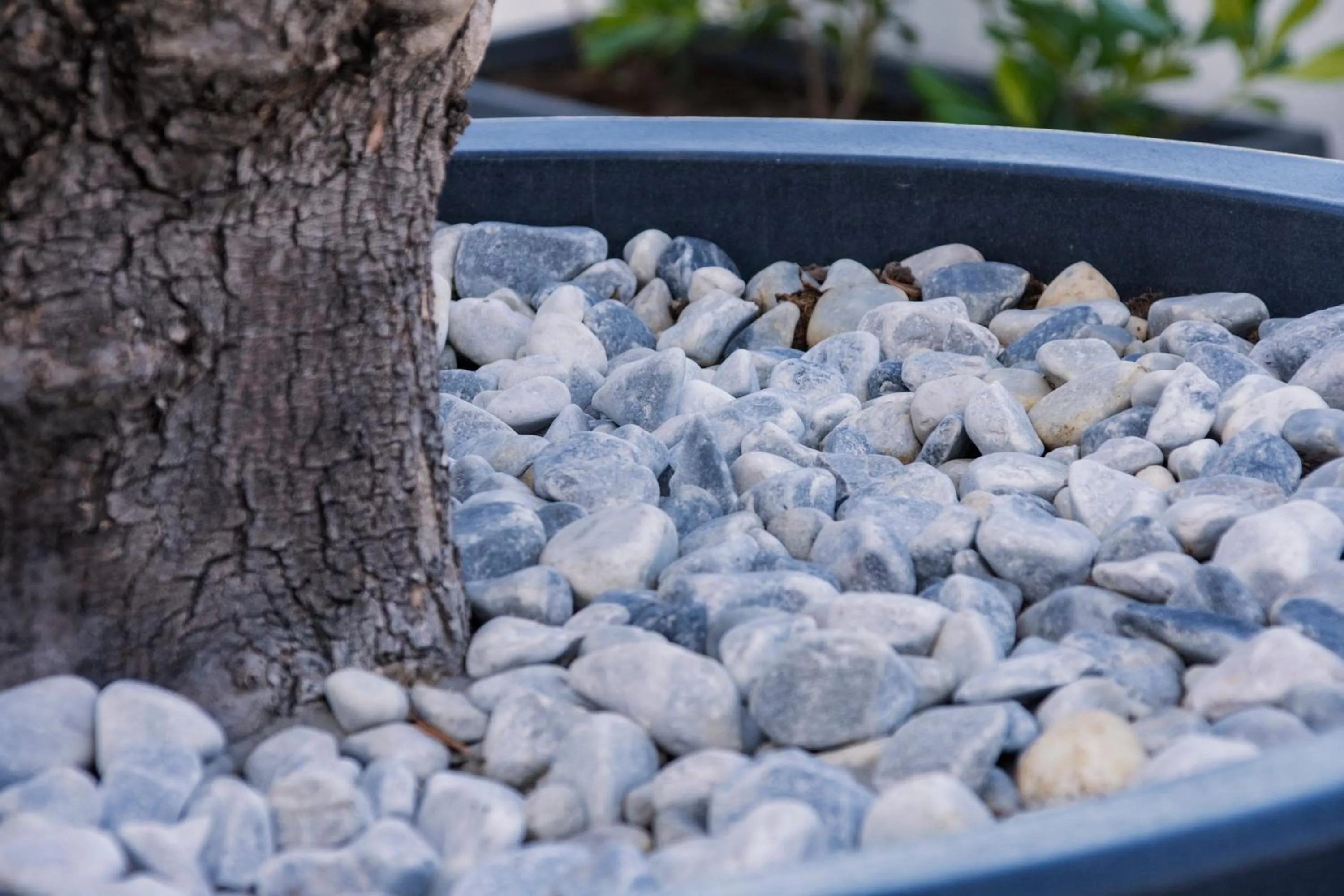 Day in Park Heights by the Warren Collection