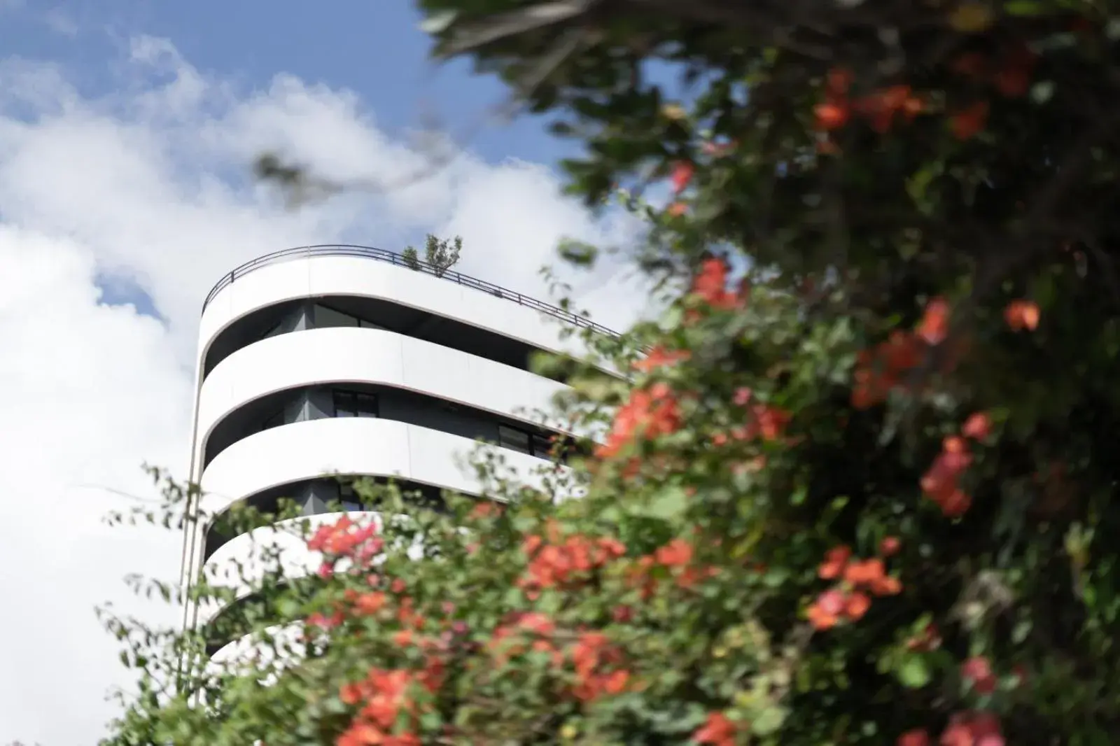 Property building in Park Heights by the Warren Collection Property building in Park Heights by the Warren Collection