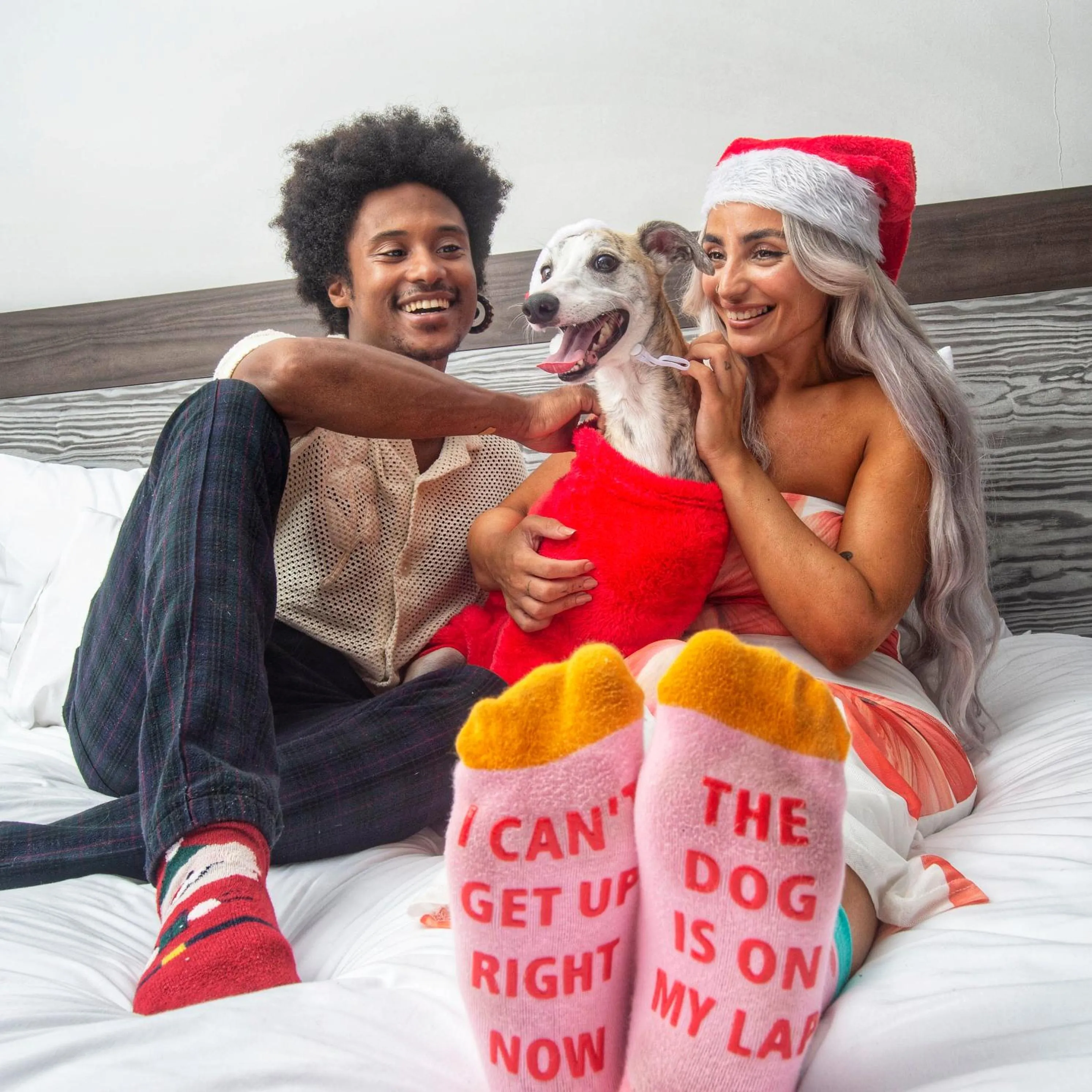 Pets in Park Heights by the Warren Collection