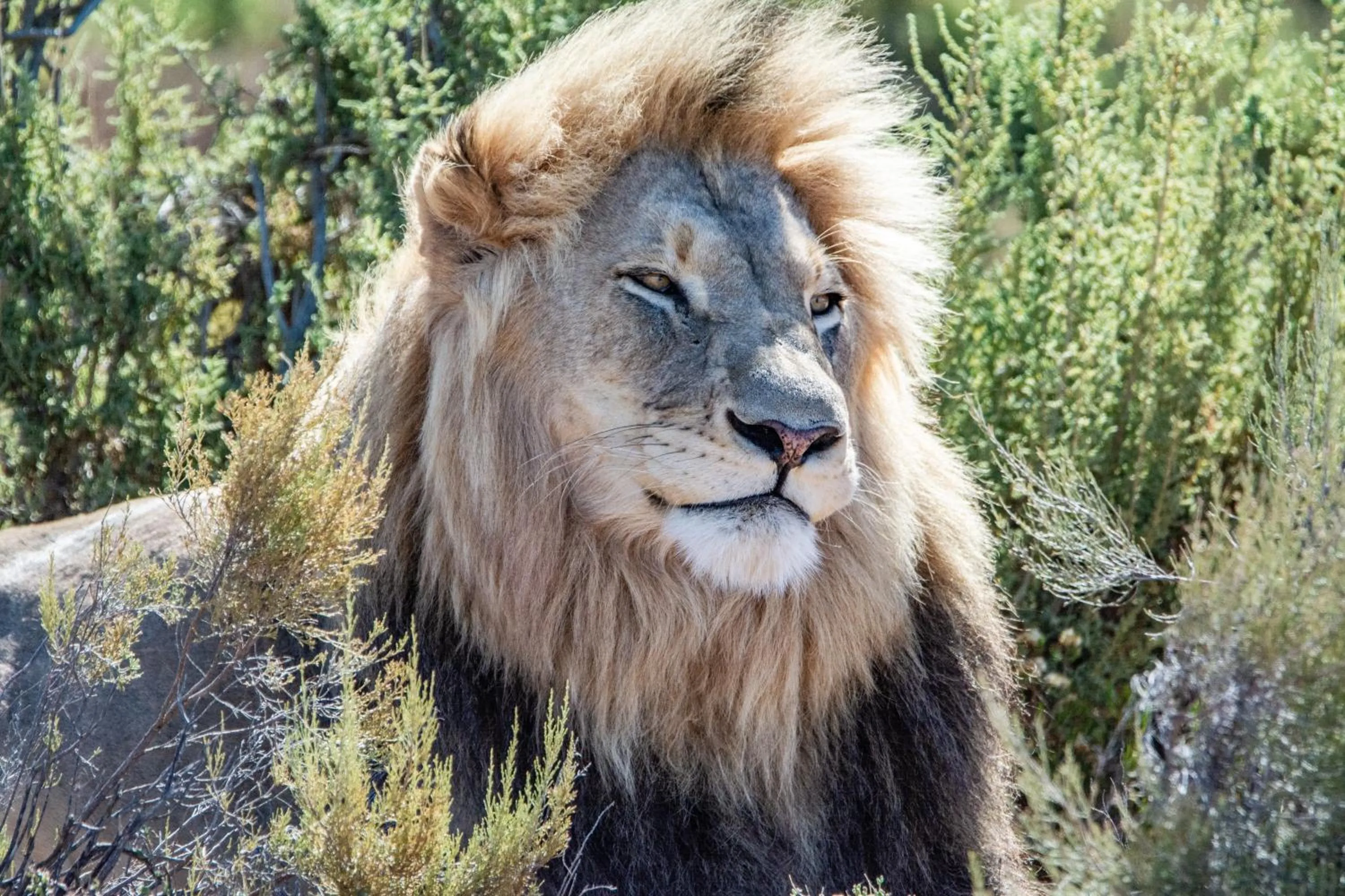 Mont Eco Game Reserve