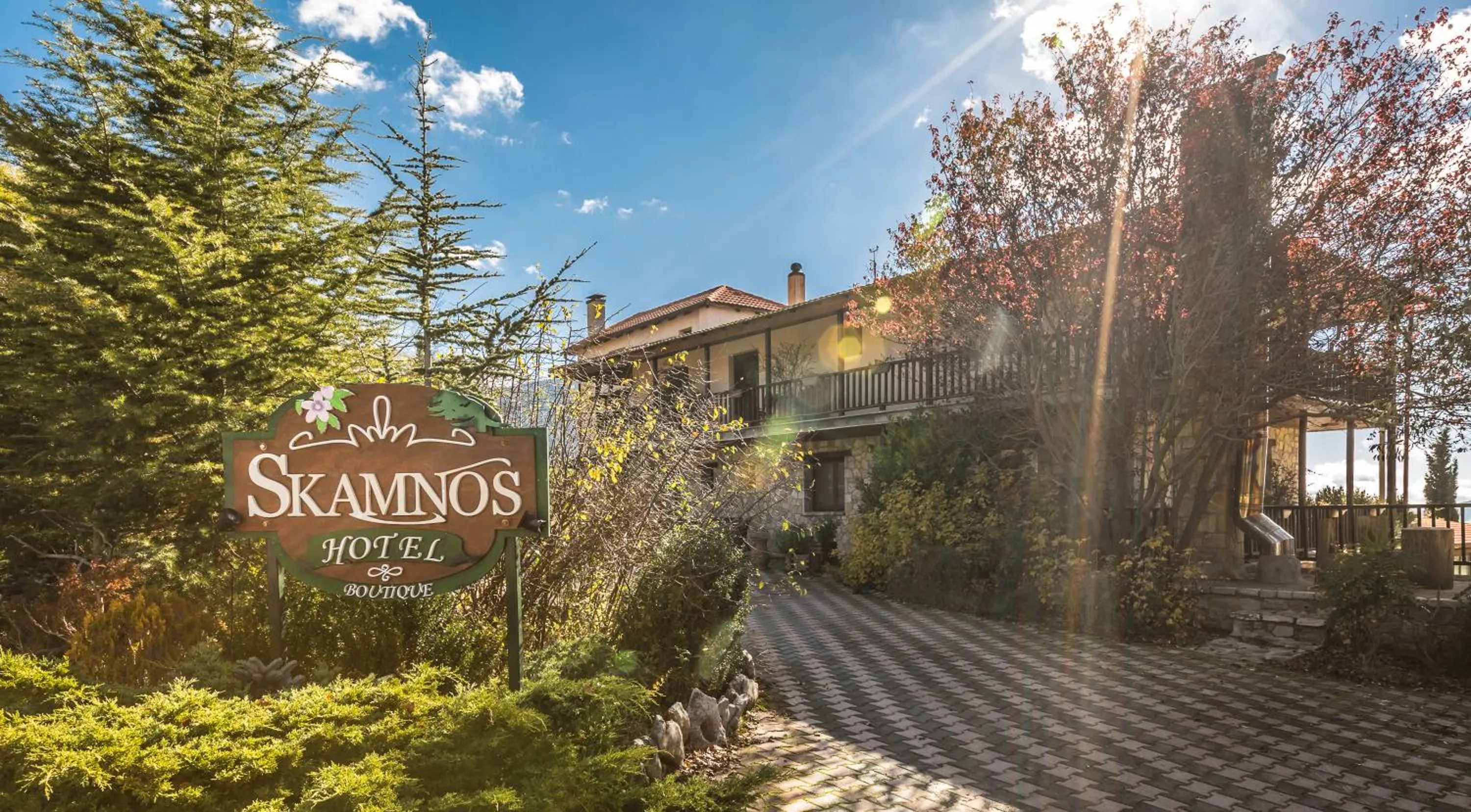 Street view in Boutique Hotel Skamnos Arachova