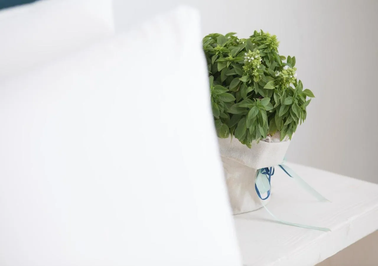 Decorative detail in Princess Of Naxos