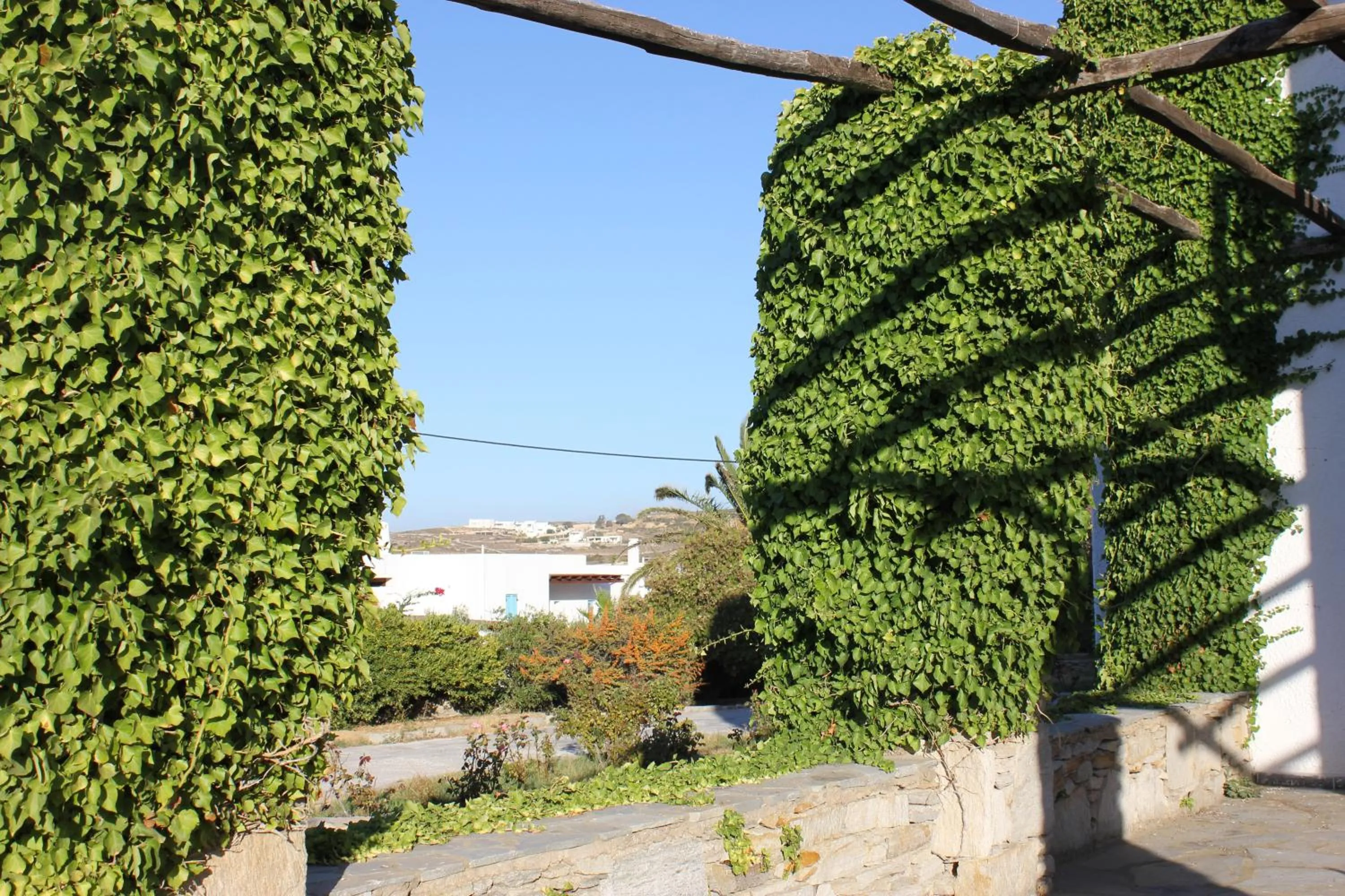 Other in Hotel Swiss Home