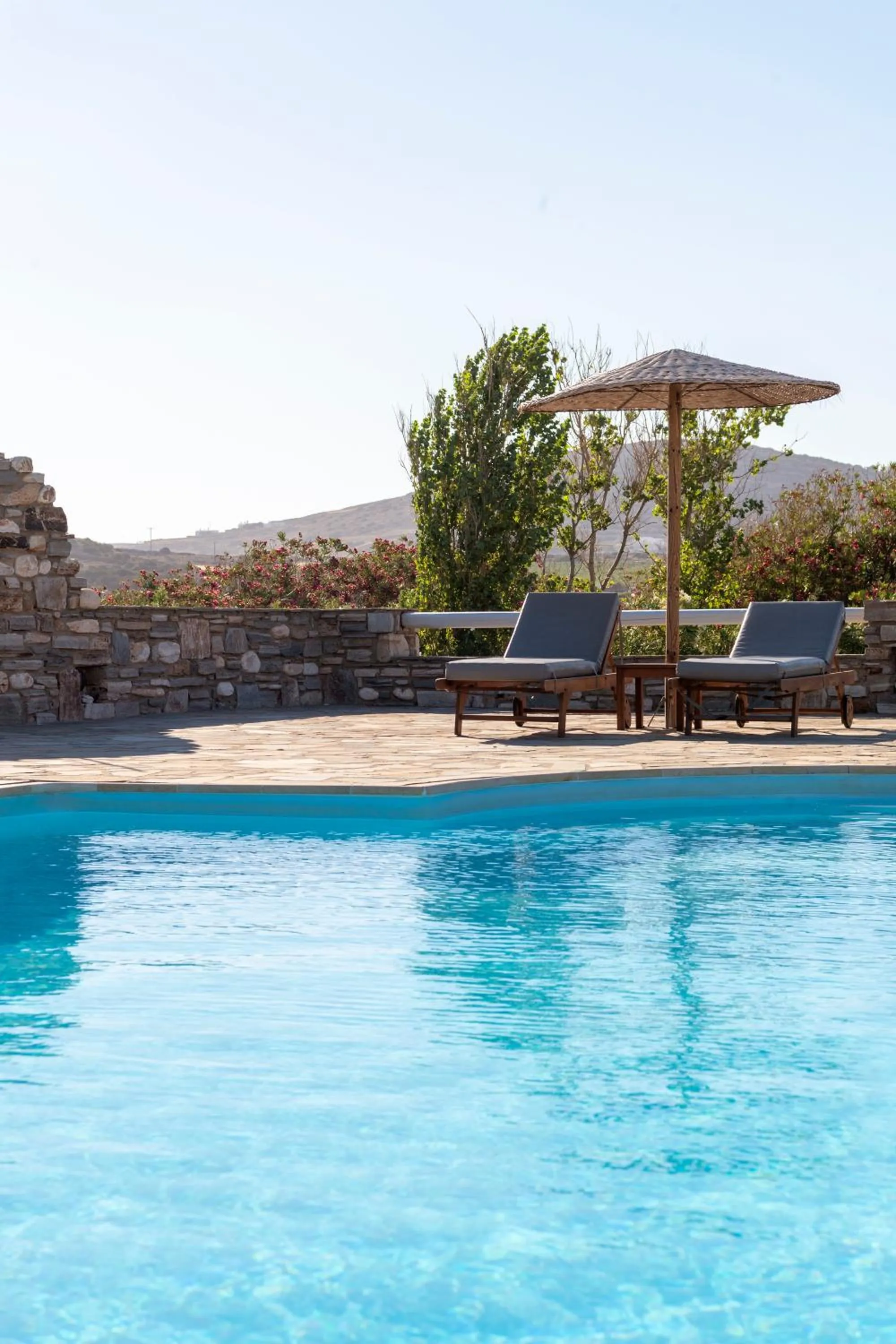 Natural landscape in Hotel Swiss Home