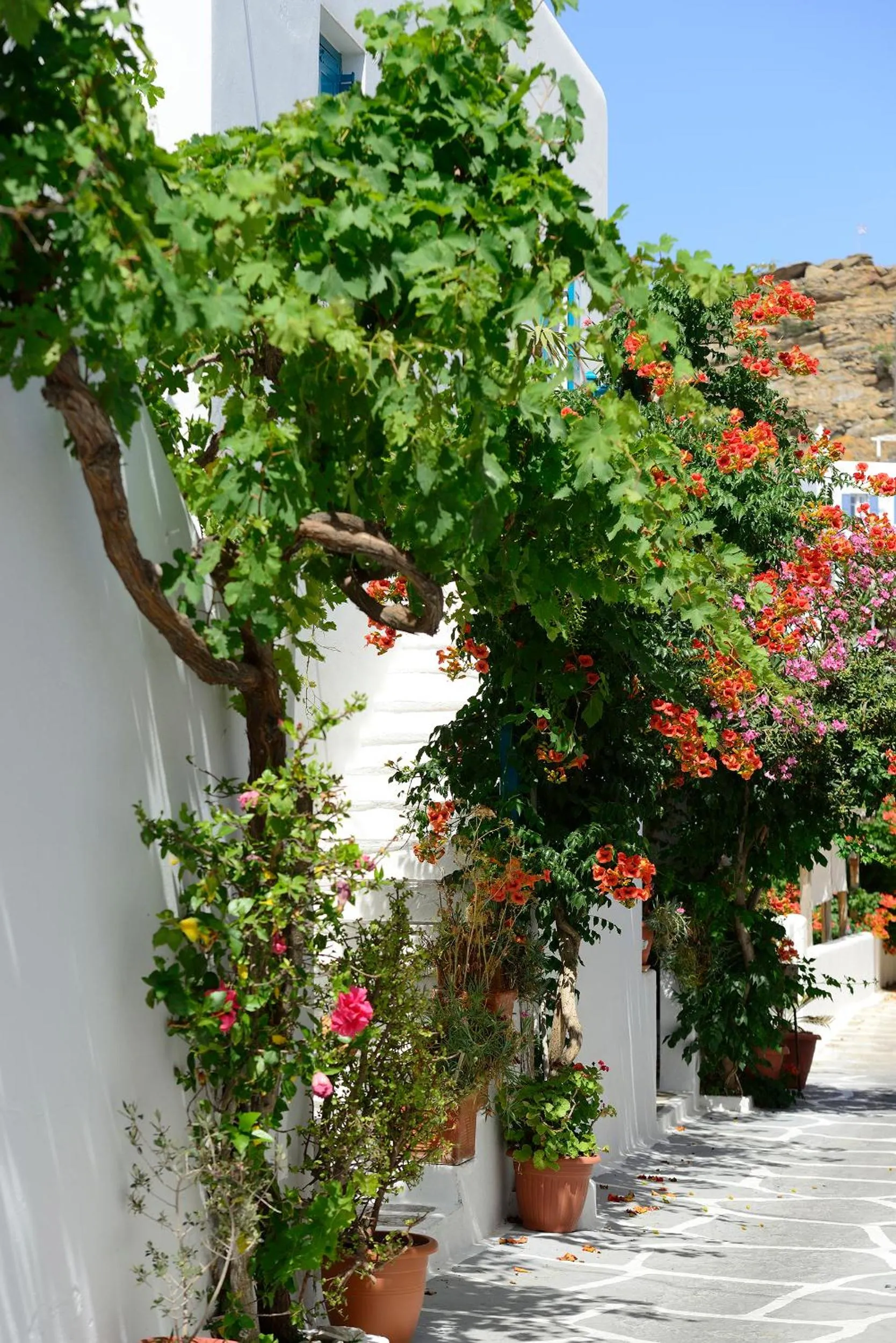 Day in Hotel Nazos