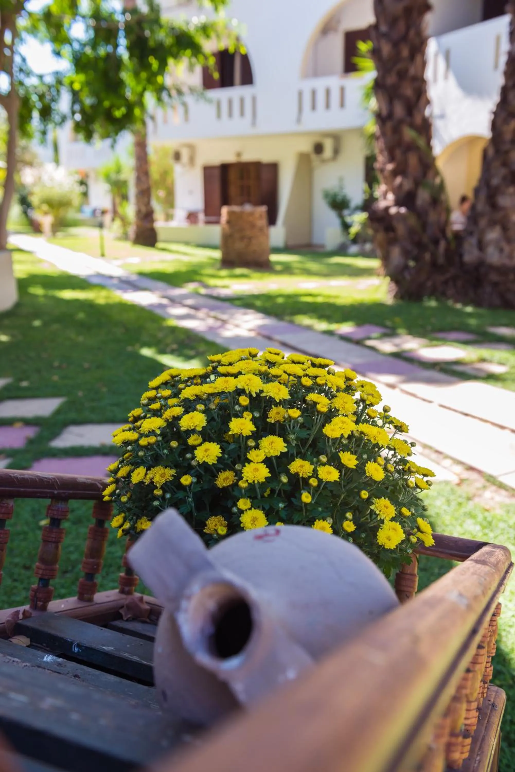 Garden in Gaia Garden