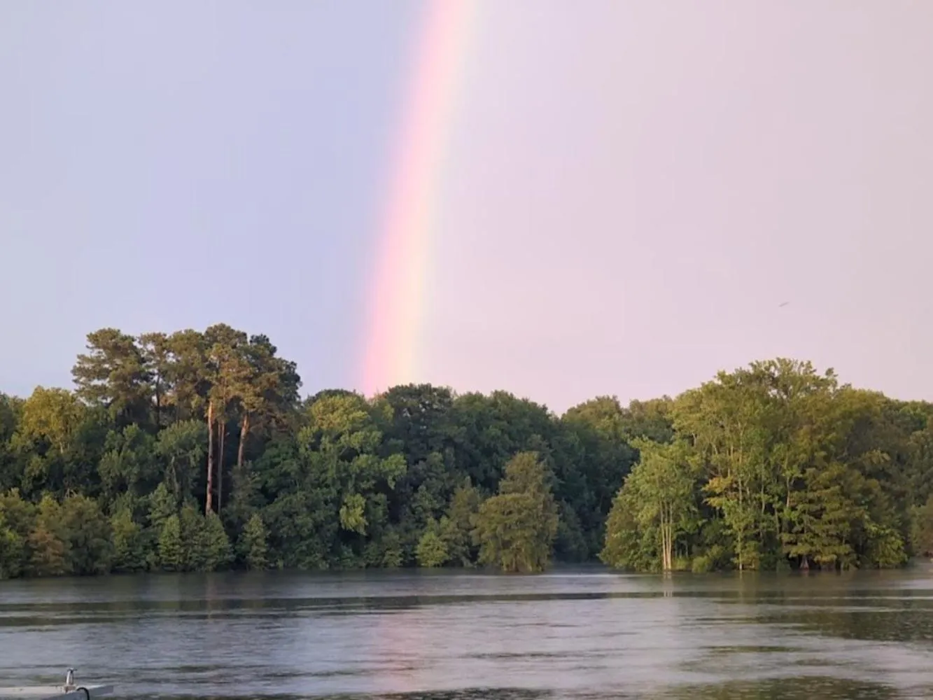 Natural landscape in Bells Marina & Fishing Resort - Santee Lake Marion by I95 - Family Adventure, Pets on Request!