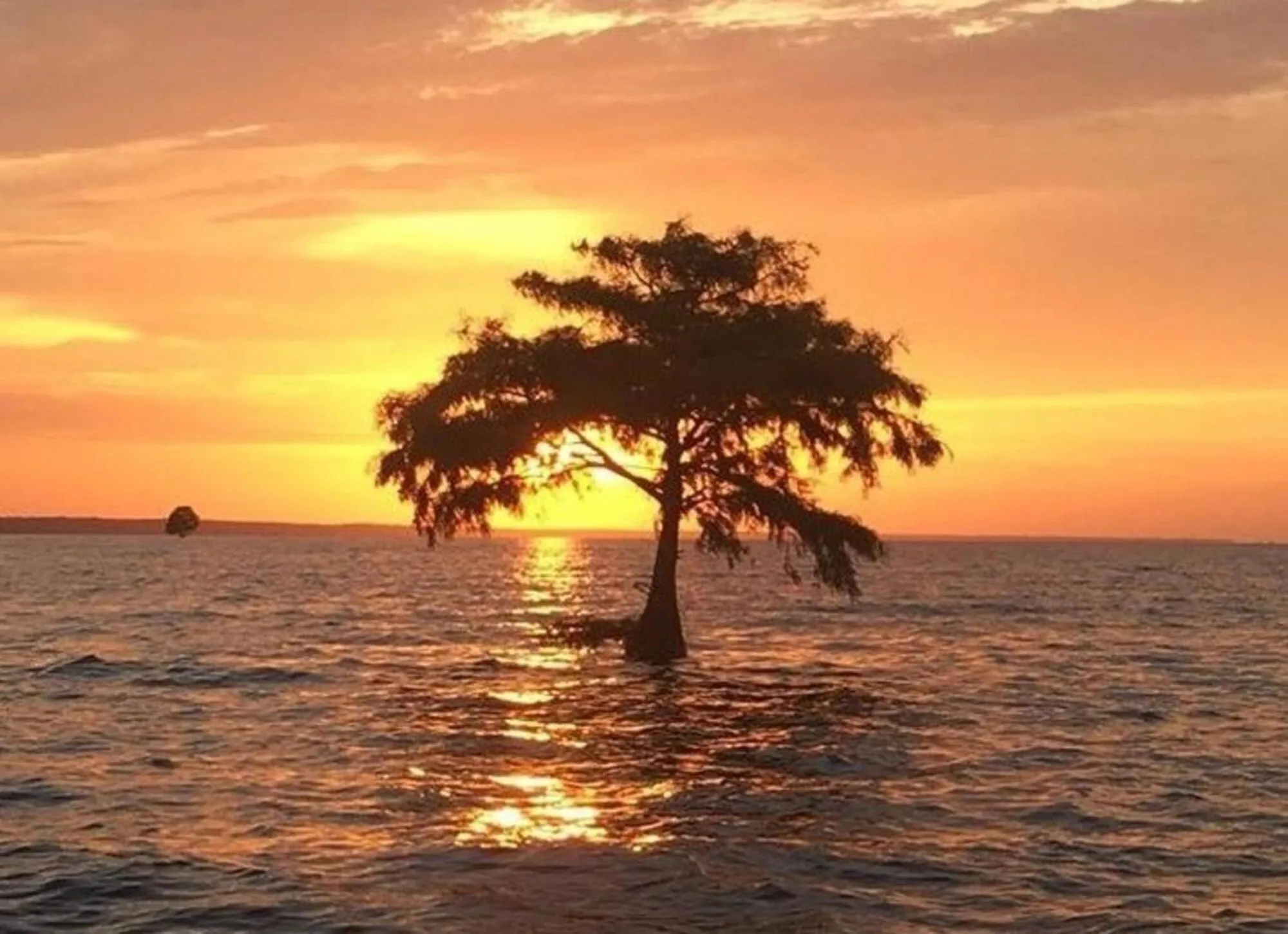 Beach in Bells Marina & Fishing Resort - Santee Lake Marion by I95 - Family Adventure, Pets on Request!