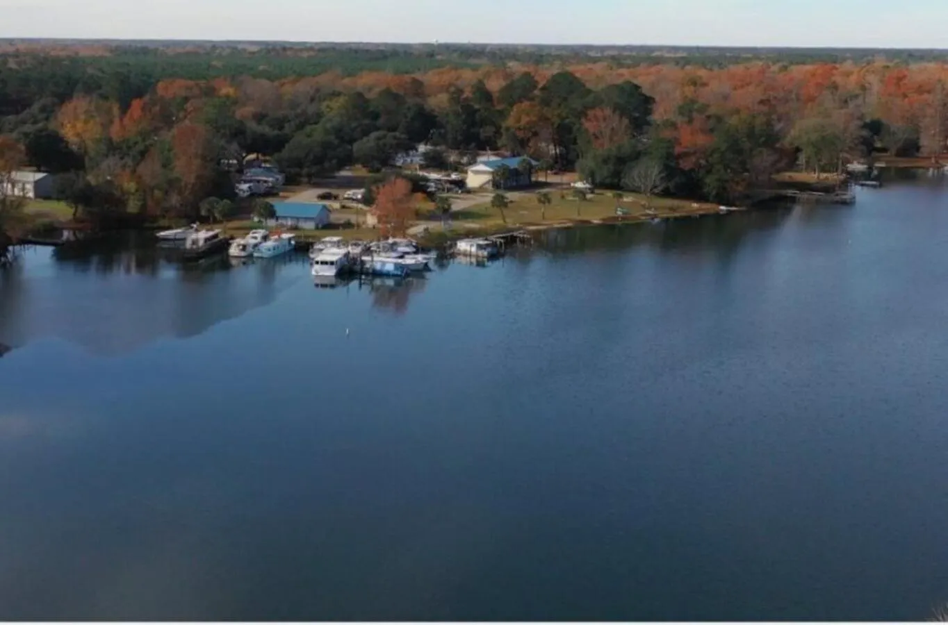 Natural landscape in Bells Marina & Fishing Resort - Santee Lake Marion by I95 - Family Adventure, Pets on Request!