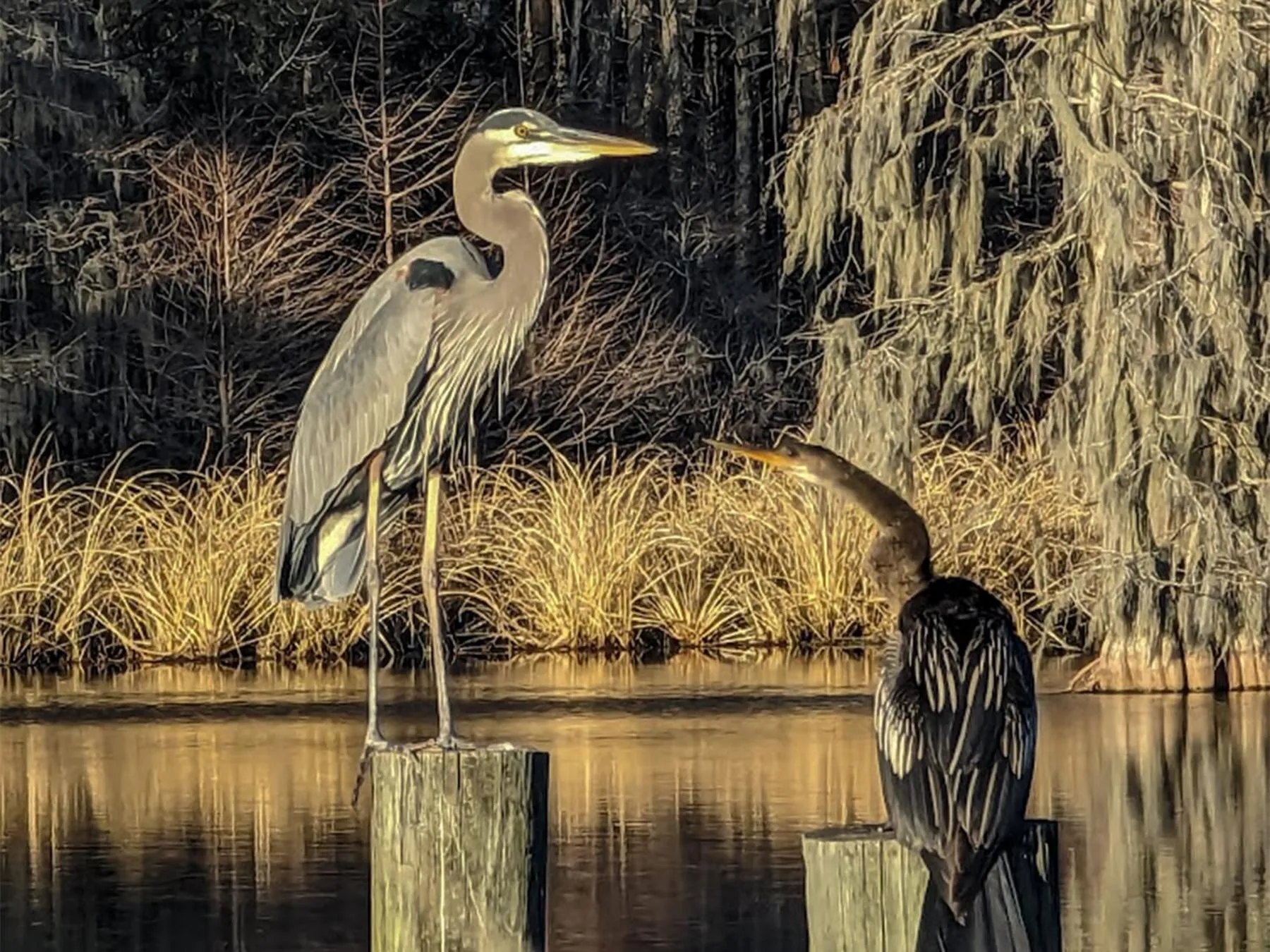 Day in Bells Marina & Fishing Resort - Santee Lake Marion by I95 - Family Adventure, Pets on Request!