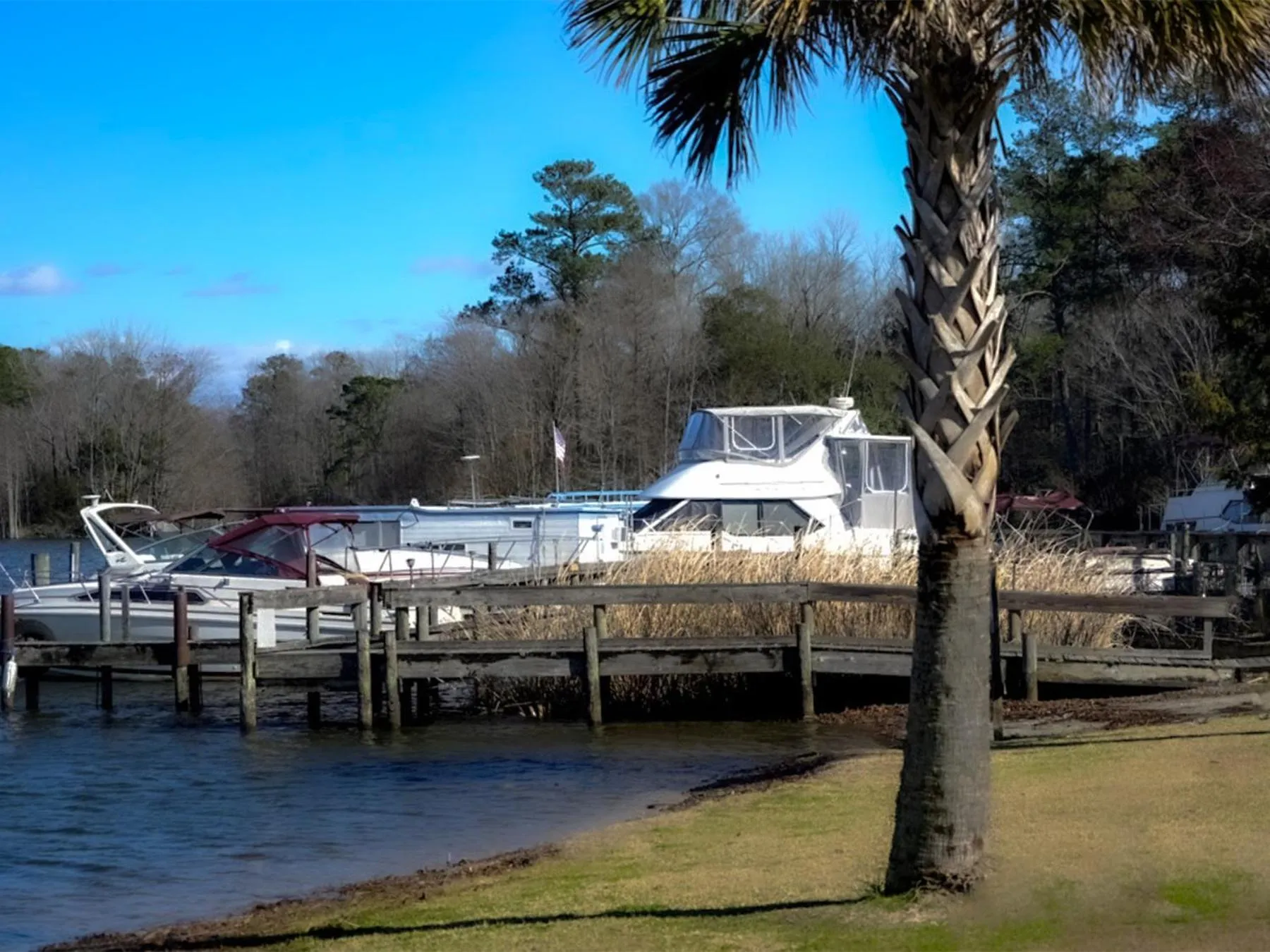 Natural landscape in Bells Marina & Fishing Resort - Santee Lake Marion by I95 - Family Adventure, Pets on Request!