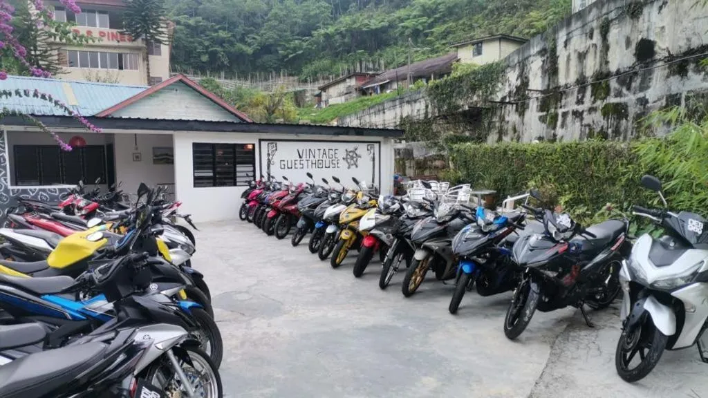 Area and facilities in Vintage Guesthouse