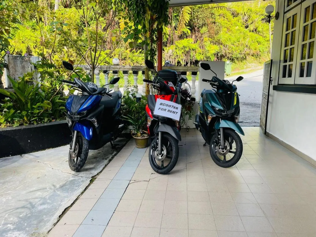 Area and facilities in Vintage Guesthouse