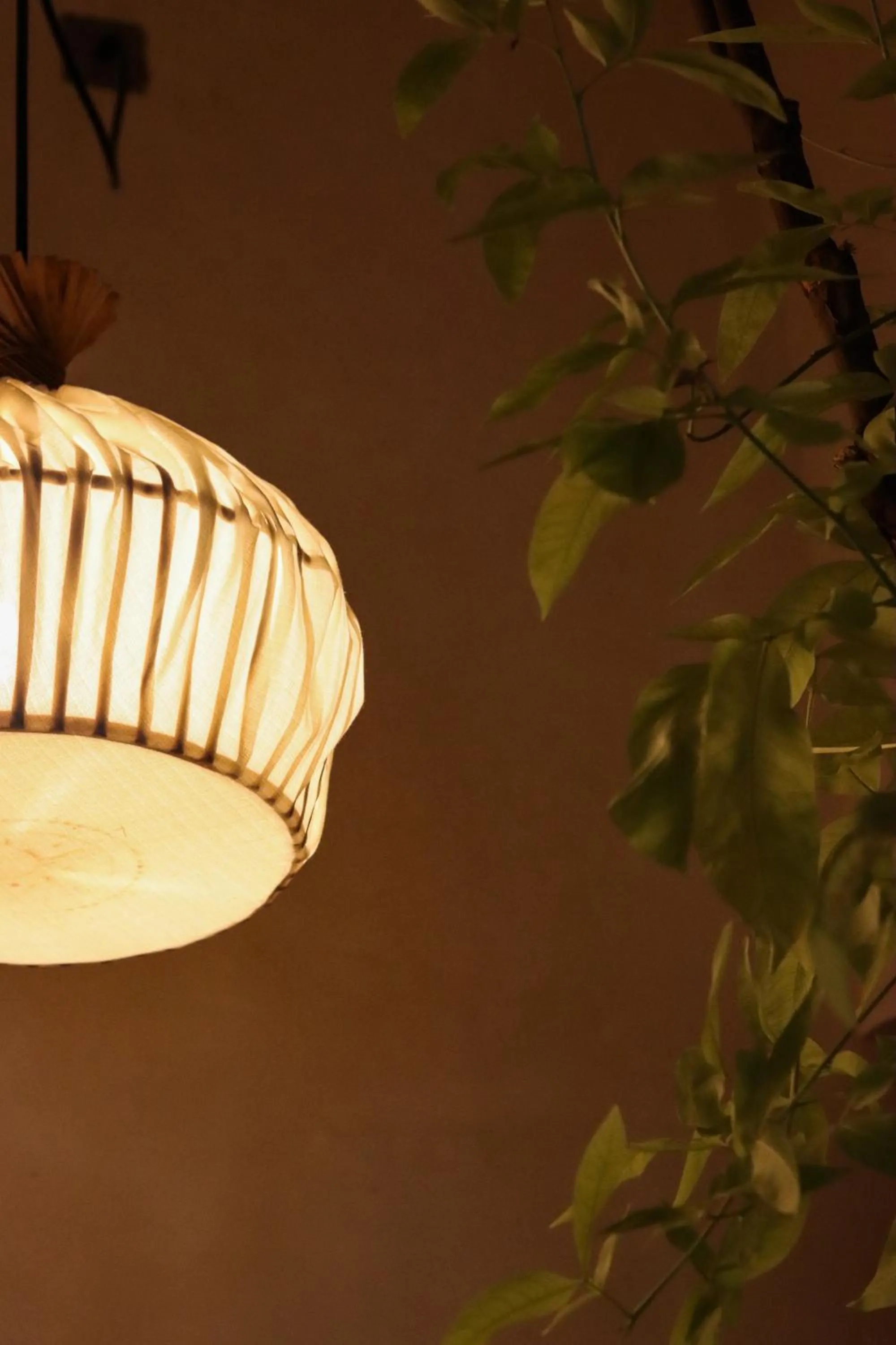 Decorative detail in Japoneza Retreat Mérida - Adults Only by Cercana