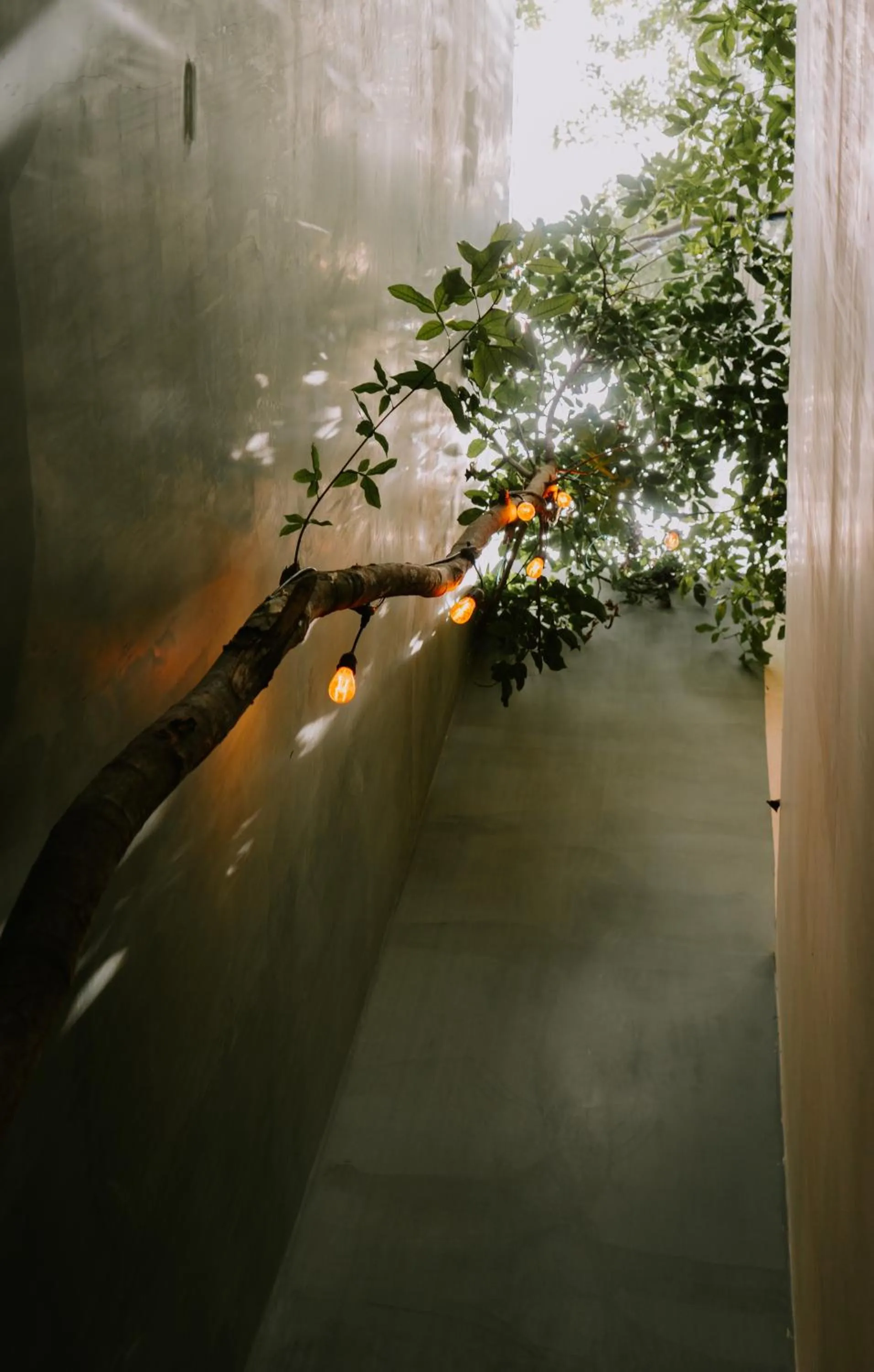 Day in Japoneza Retreat Mérida - Adults Only by Cercana