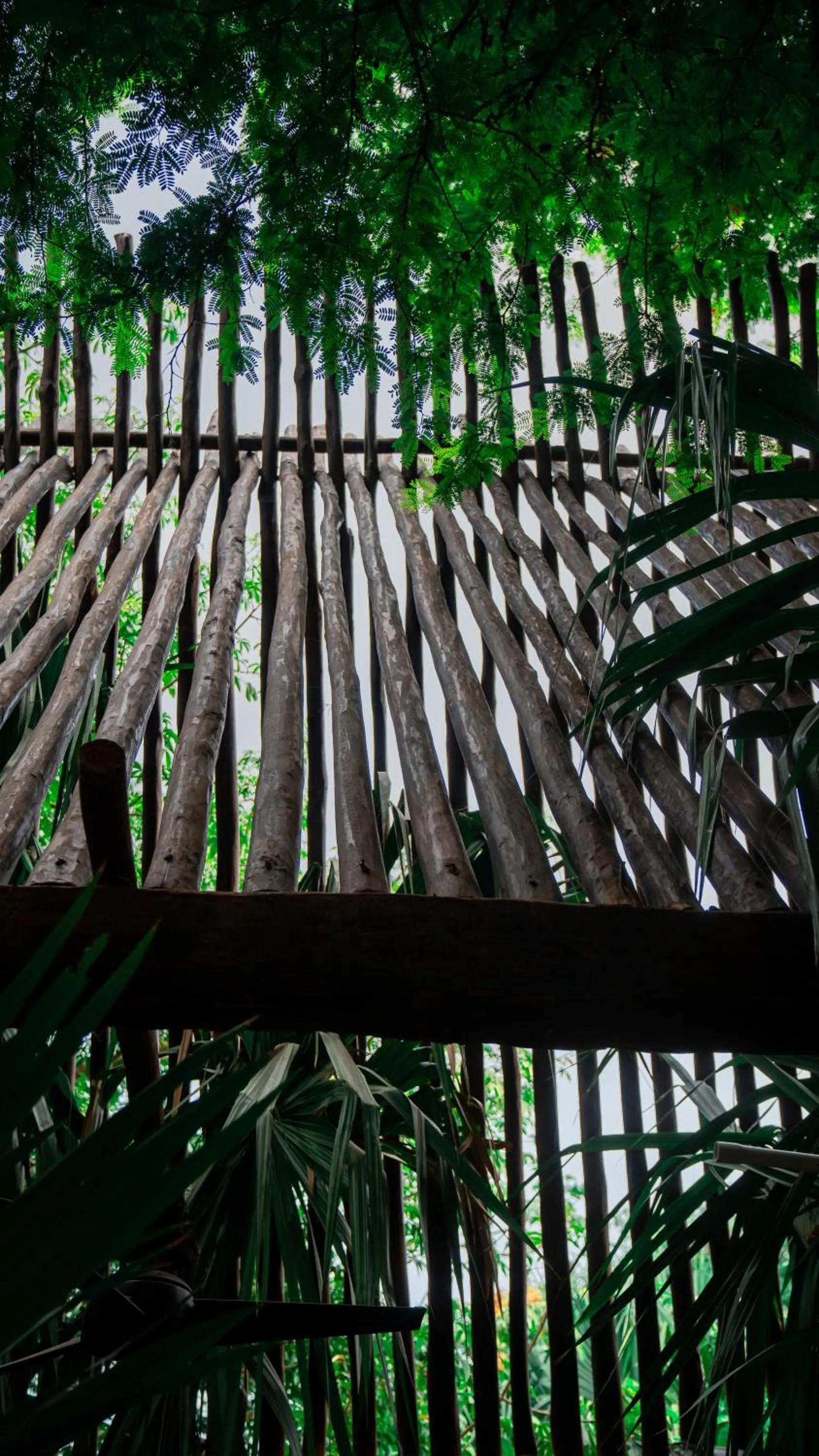 Natural landscape in Japoneza Retreat Mérida - Adults Only by Cercana