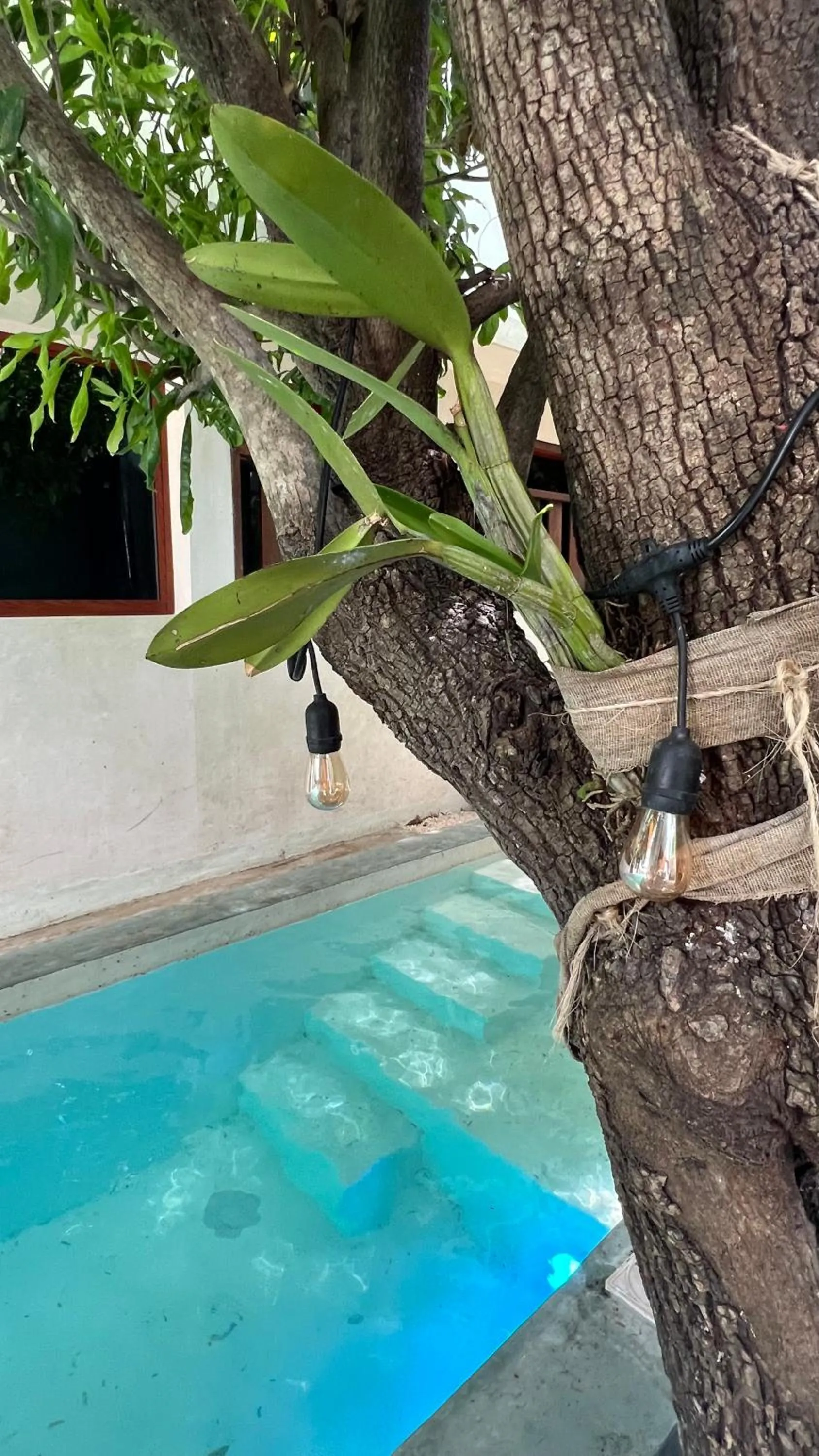 Swimming pool in Japoneza Retreat Mérida - Adults Only by Cercana
