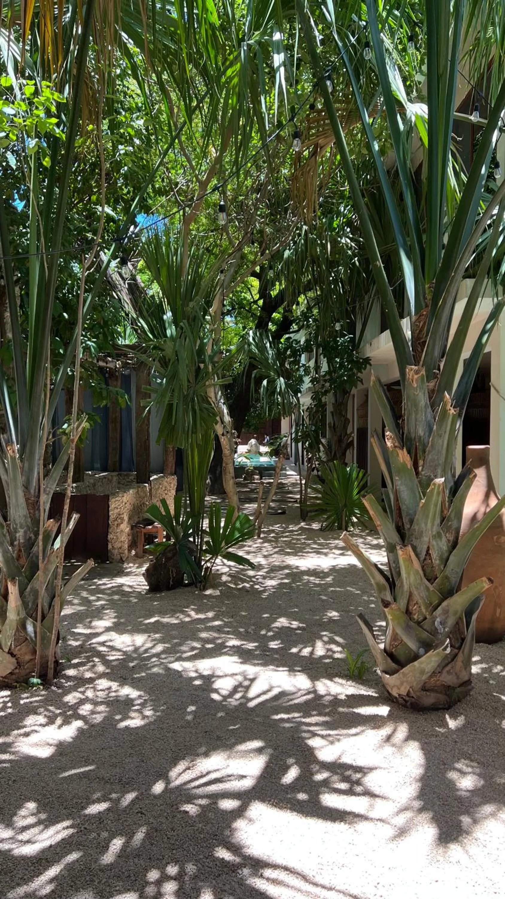 Garden in Japoneza Retreat Mérida - Adults Only by Cercana