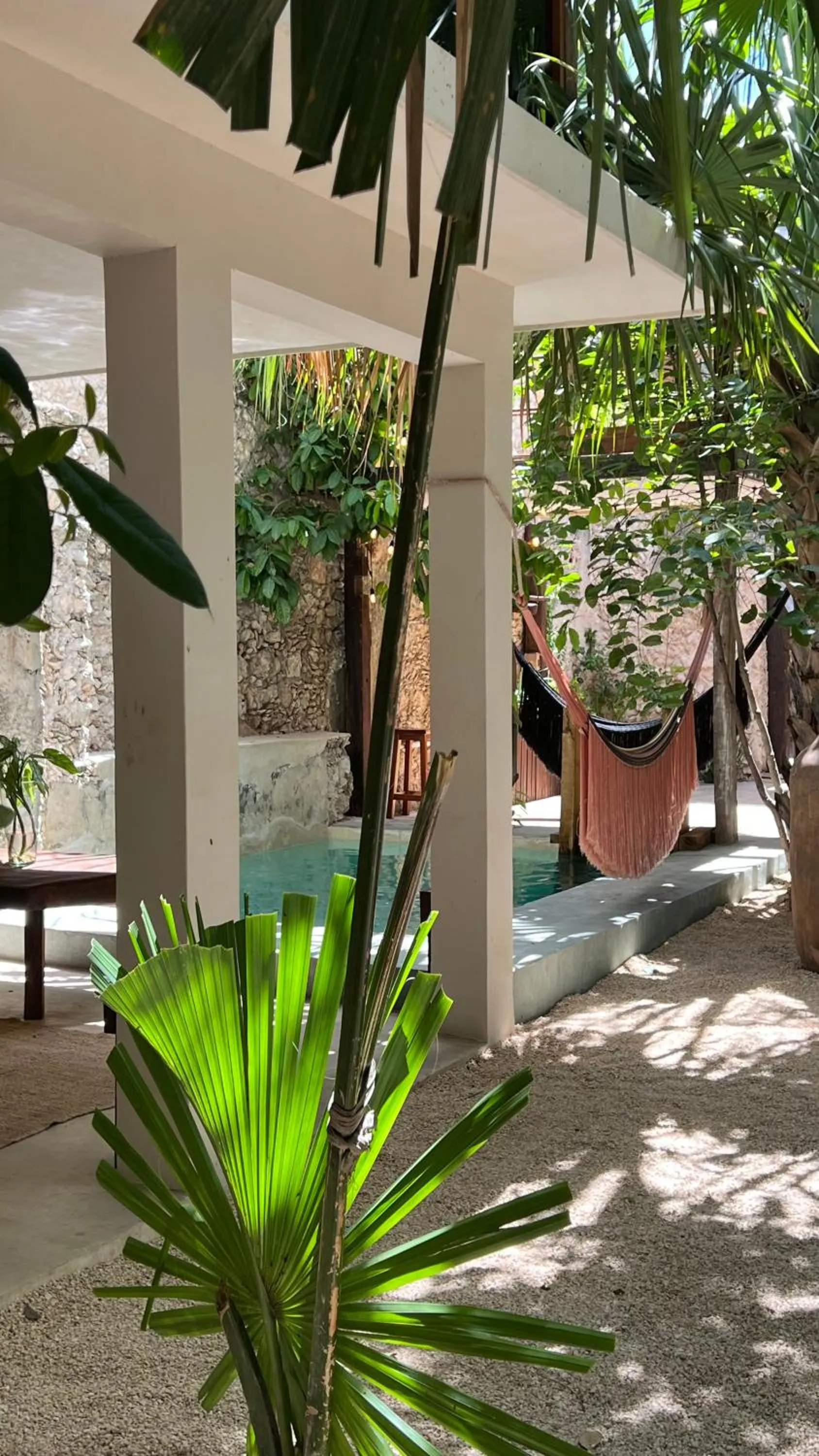 Natural landscape in Japoneza Retreat Mérida - Adults Only by Cercana
