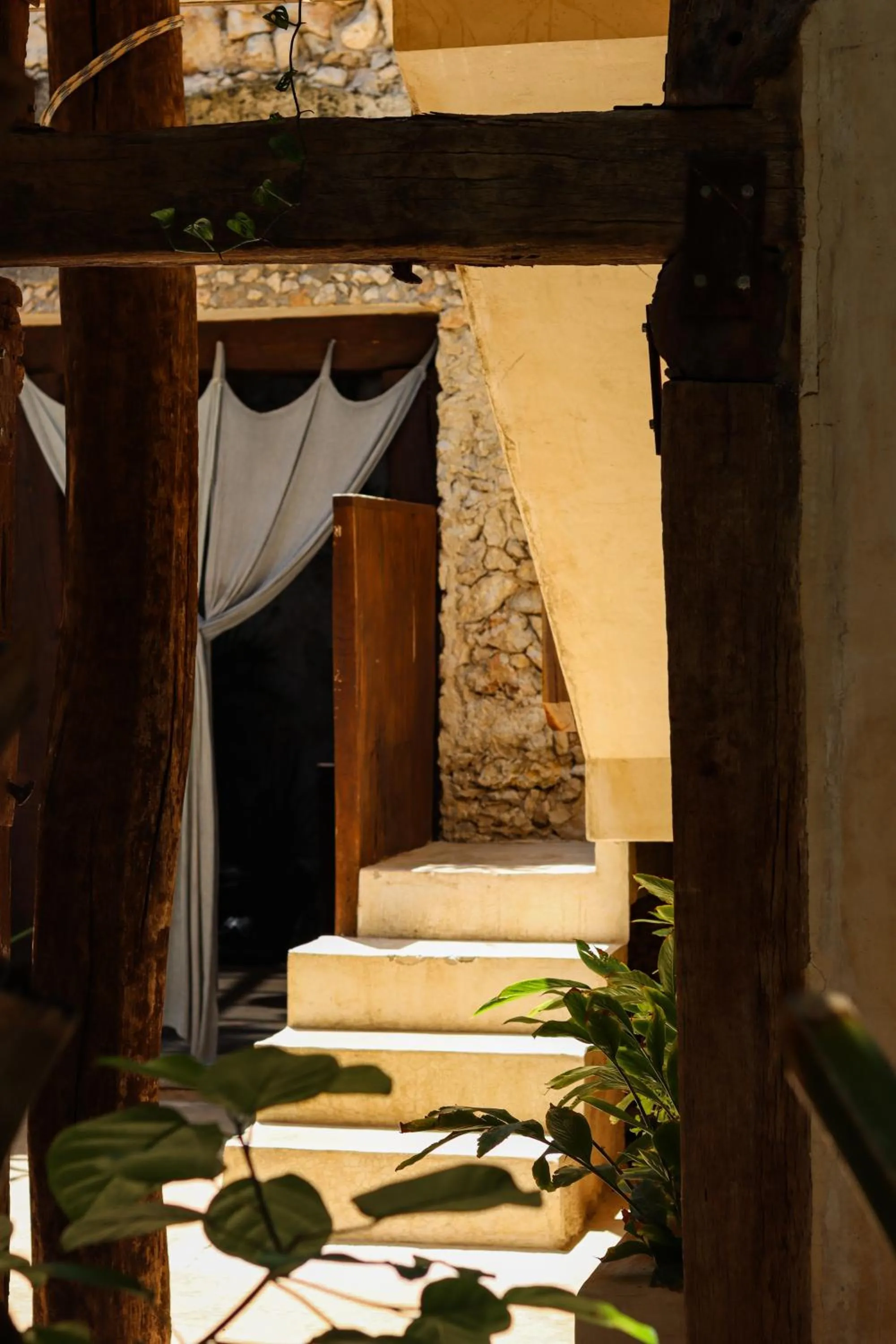 Garden in Japoneza Retreat Mérida - Adults Only by Cercana