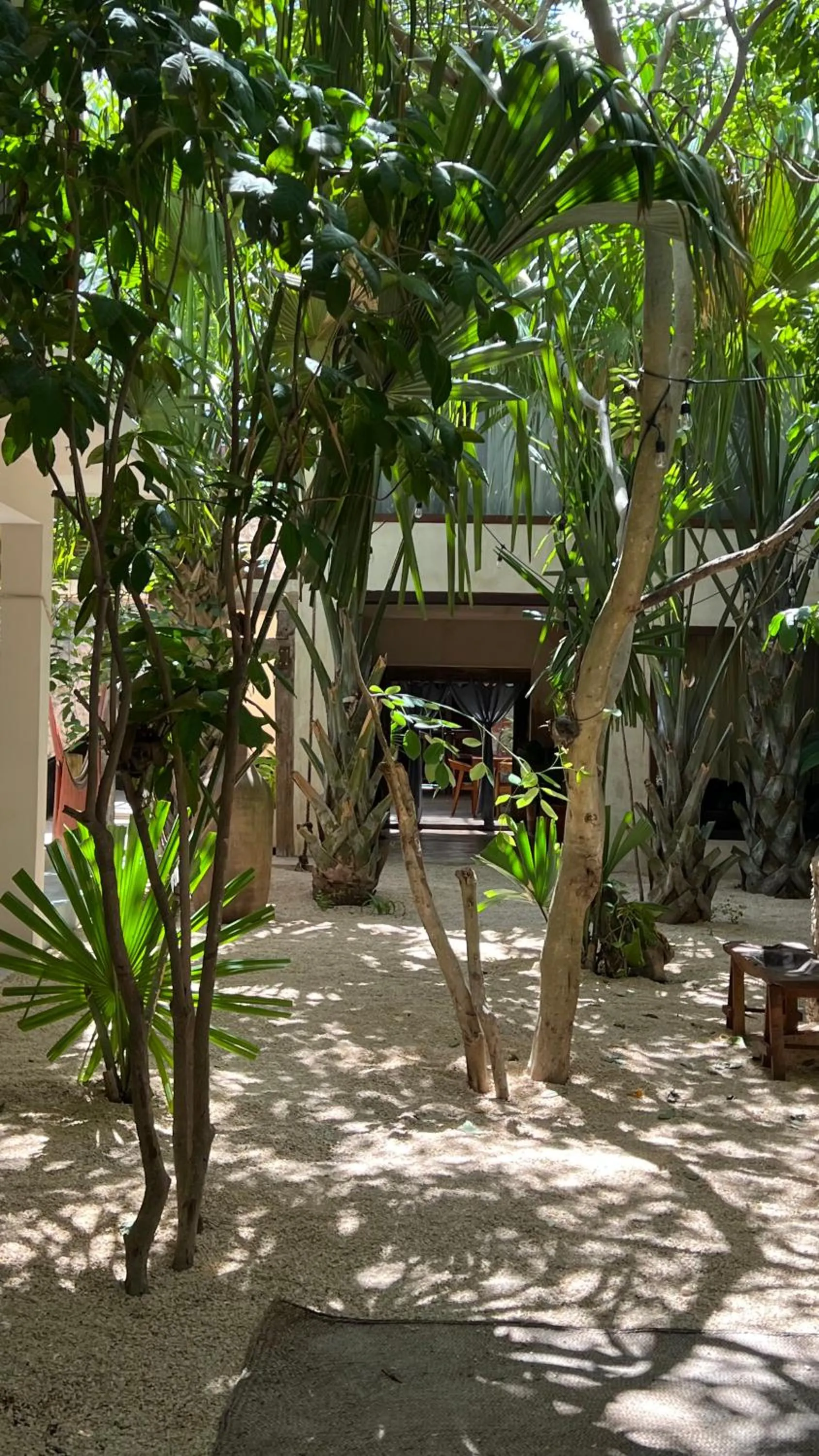 Off site in Japoneza Retreat Mérida - Adults Only by Cercana