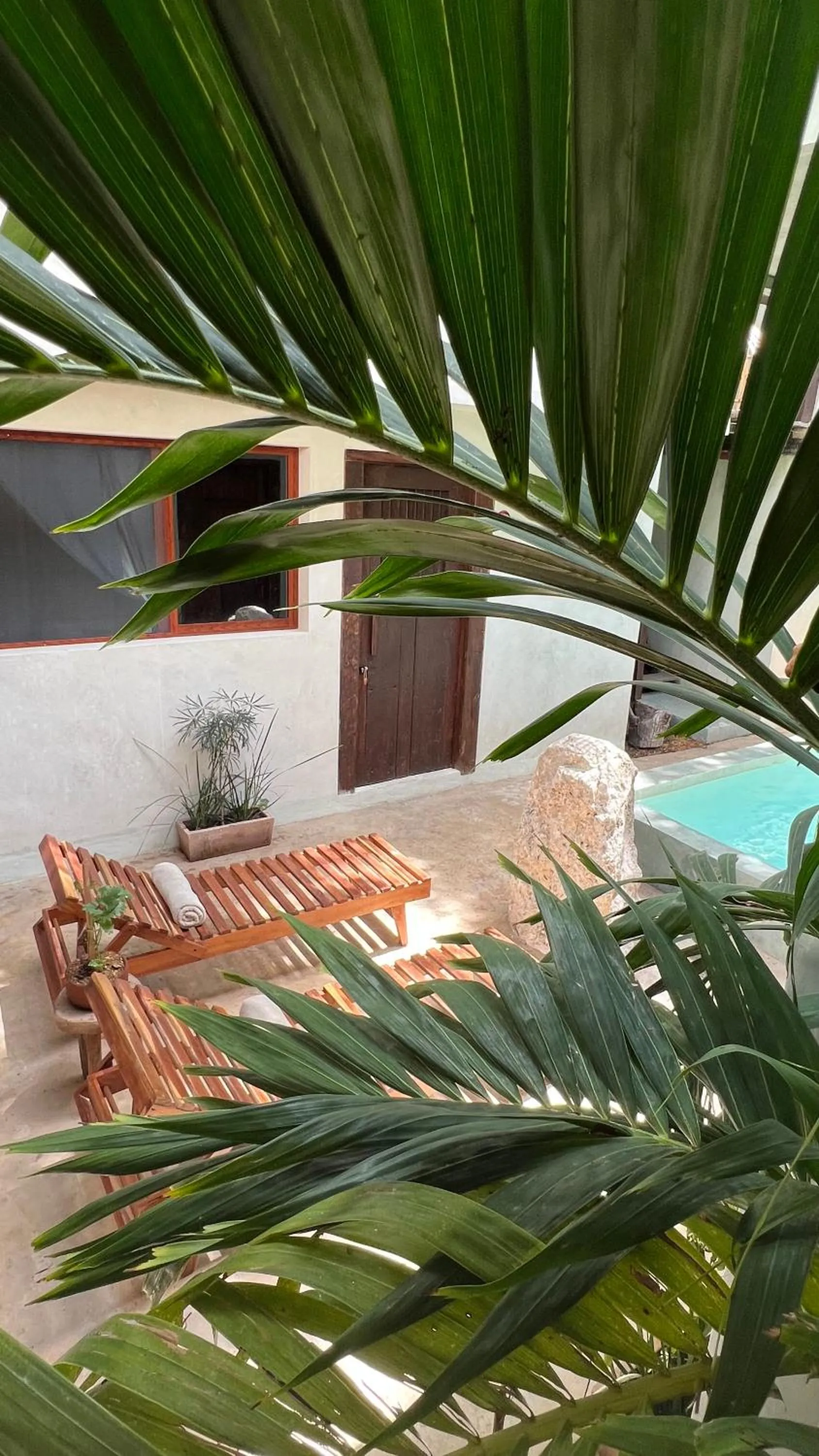 Natural landscape in Japoneza Retreat Mérida - Adults Only by Cercana