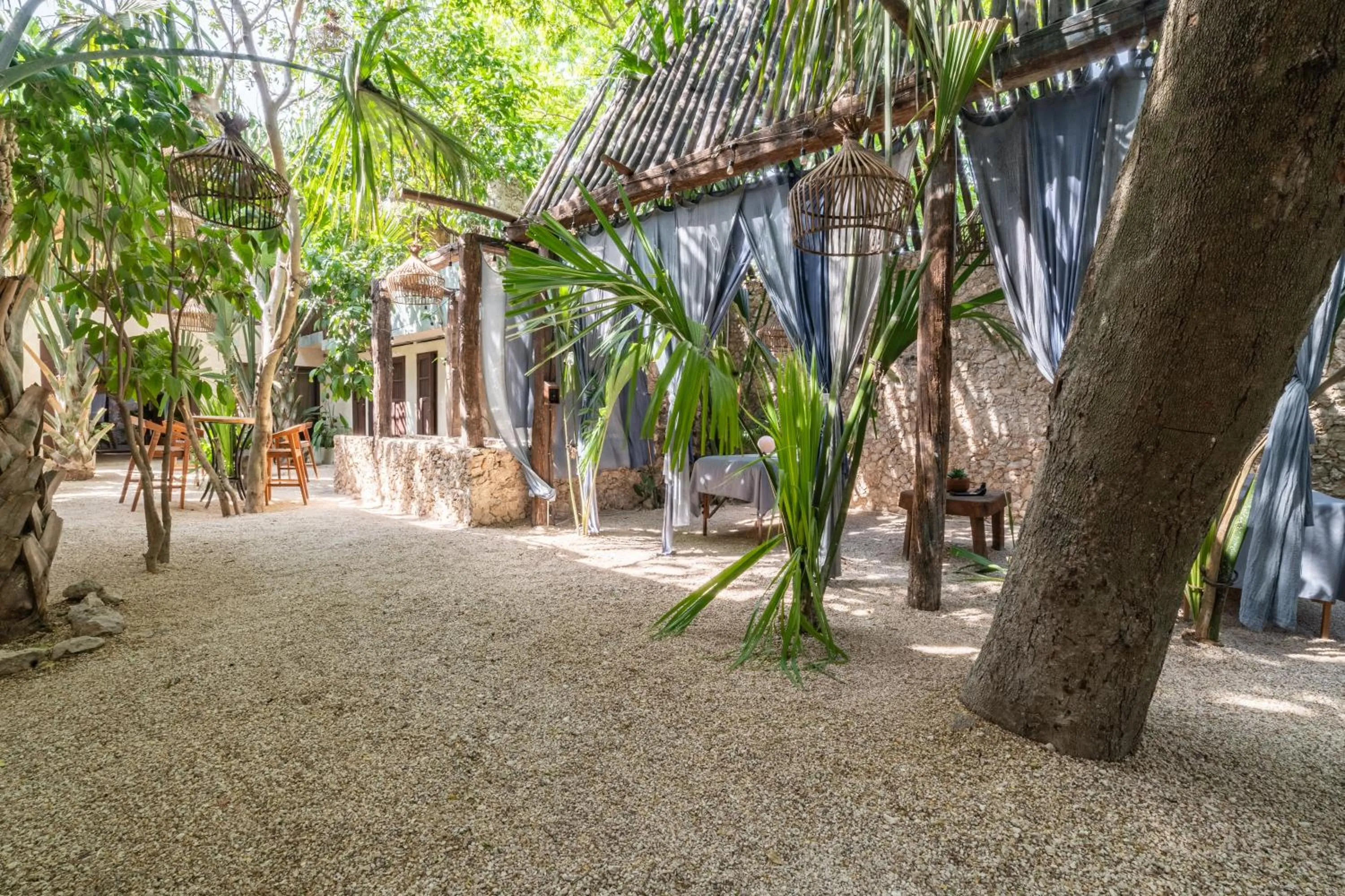 Garden in Japoneza Retreat Mérida - Adults Only by Cercana