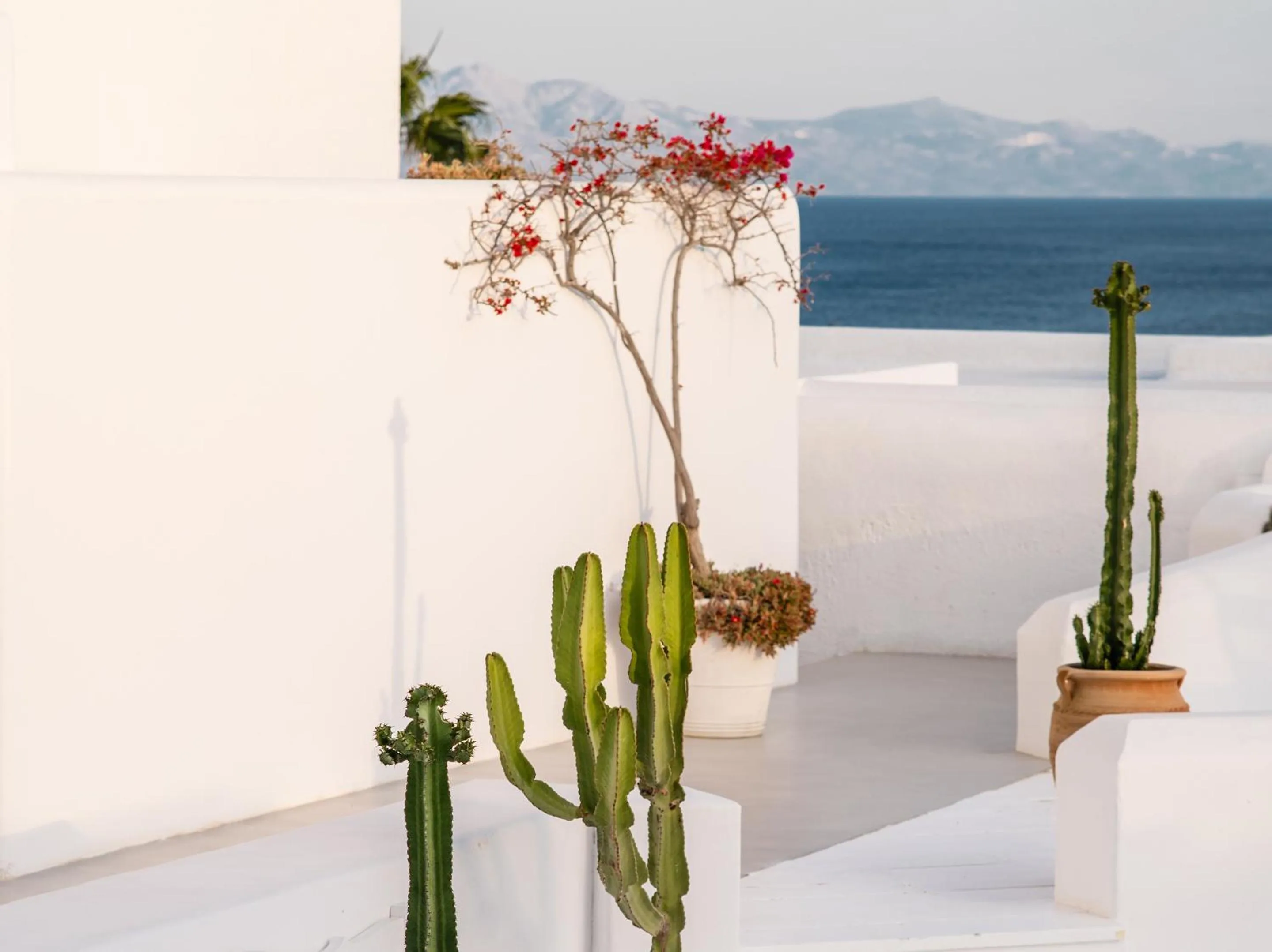 Balcony/Terrace in Mykonos Blu, A Grecotel Resort to Live