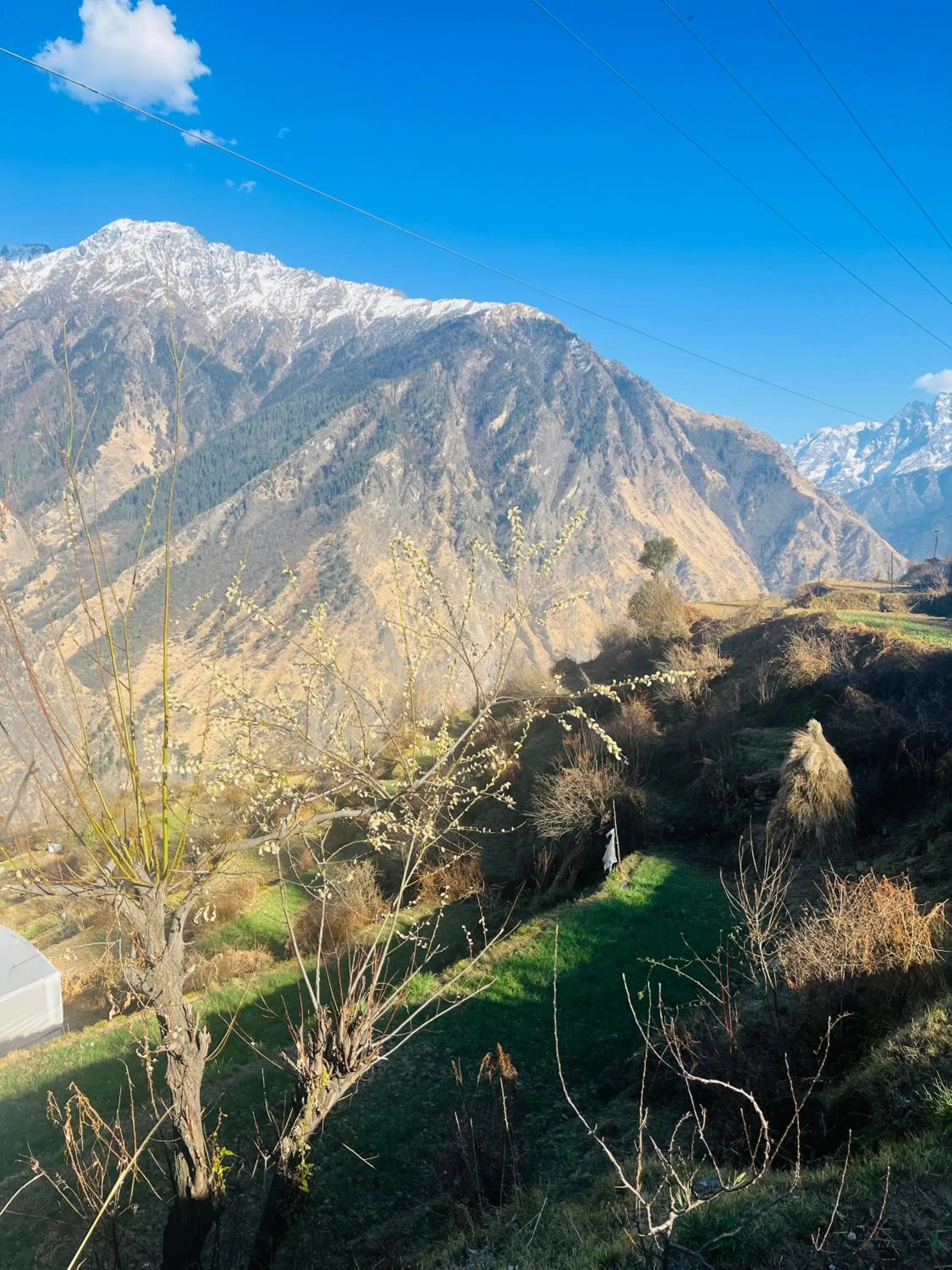 Faraway Cottages, Auli