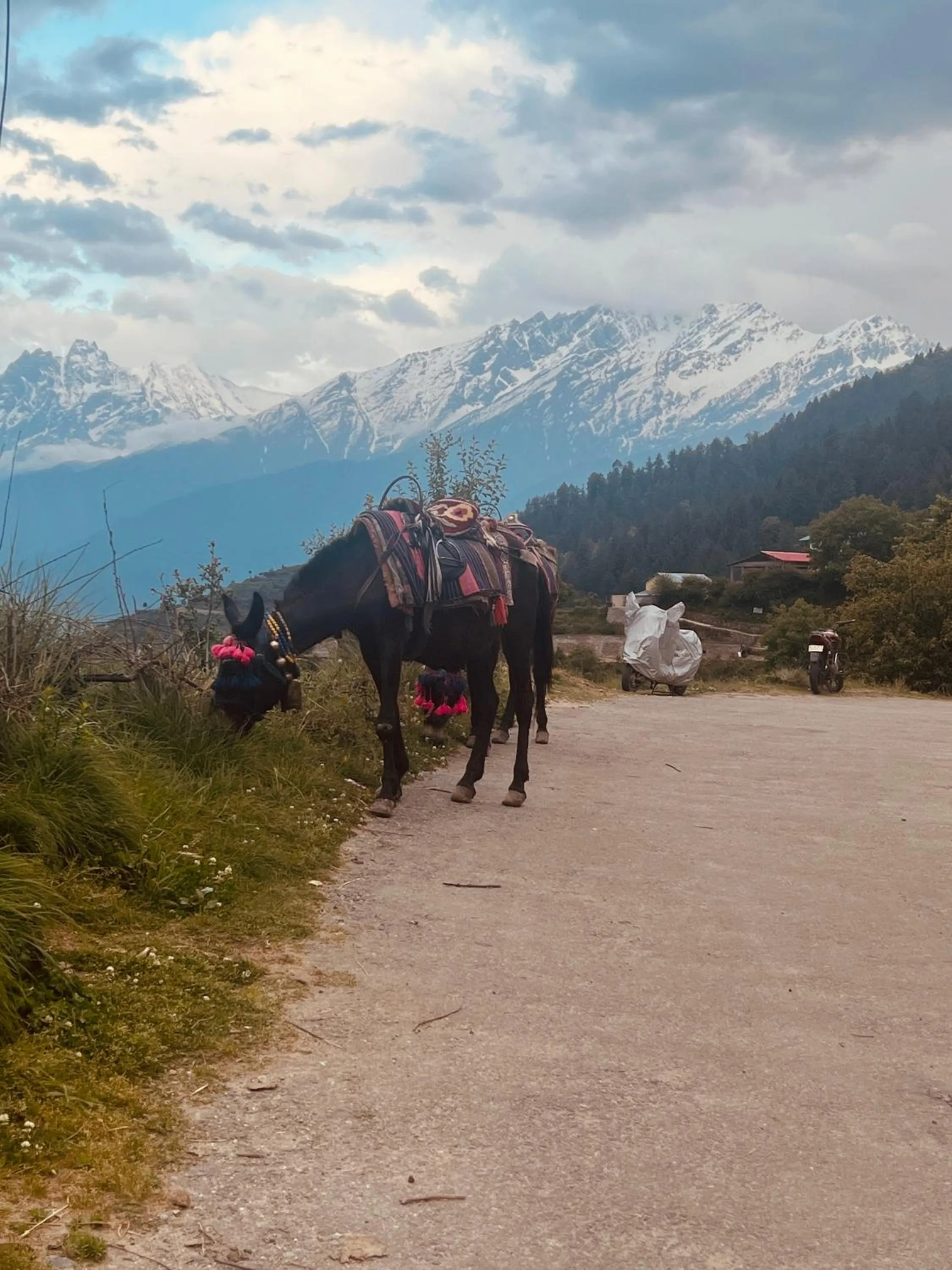 Faraway Cottages, Auli