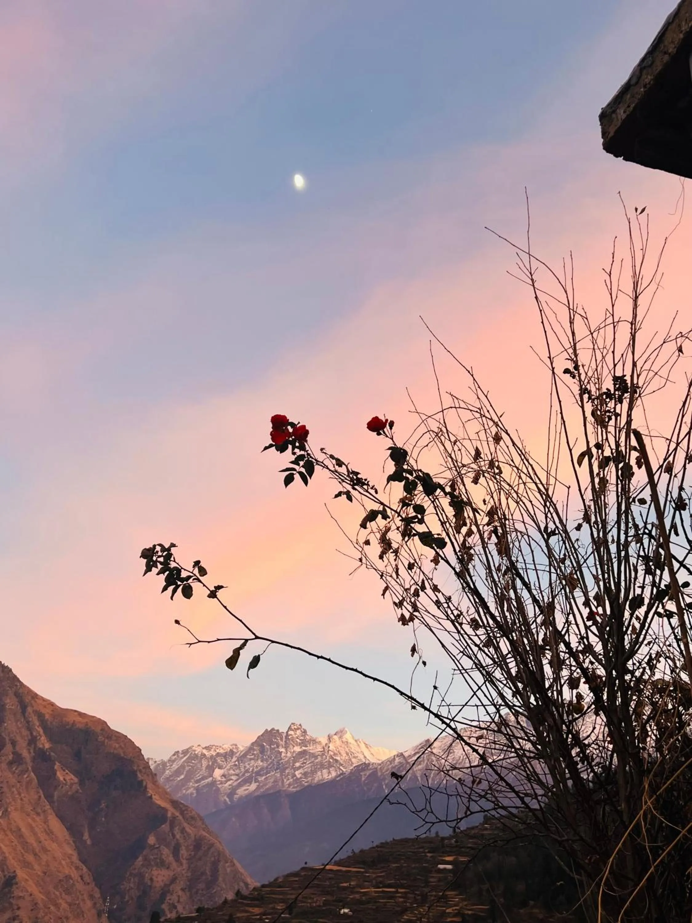 Neighbourhood in Faraway Cottages, Auli